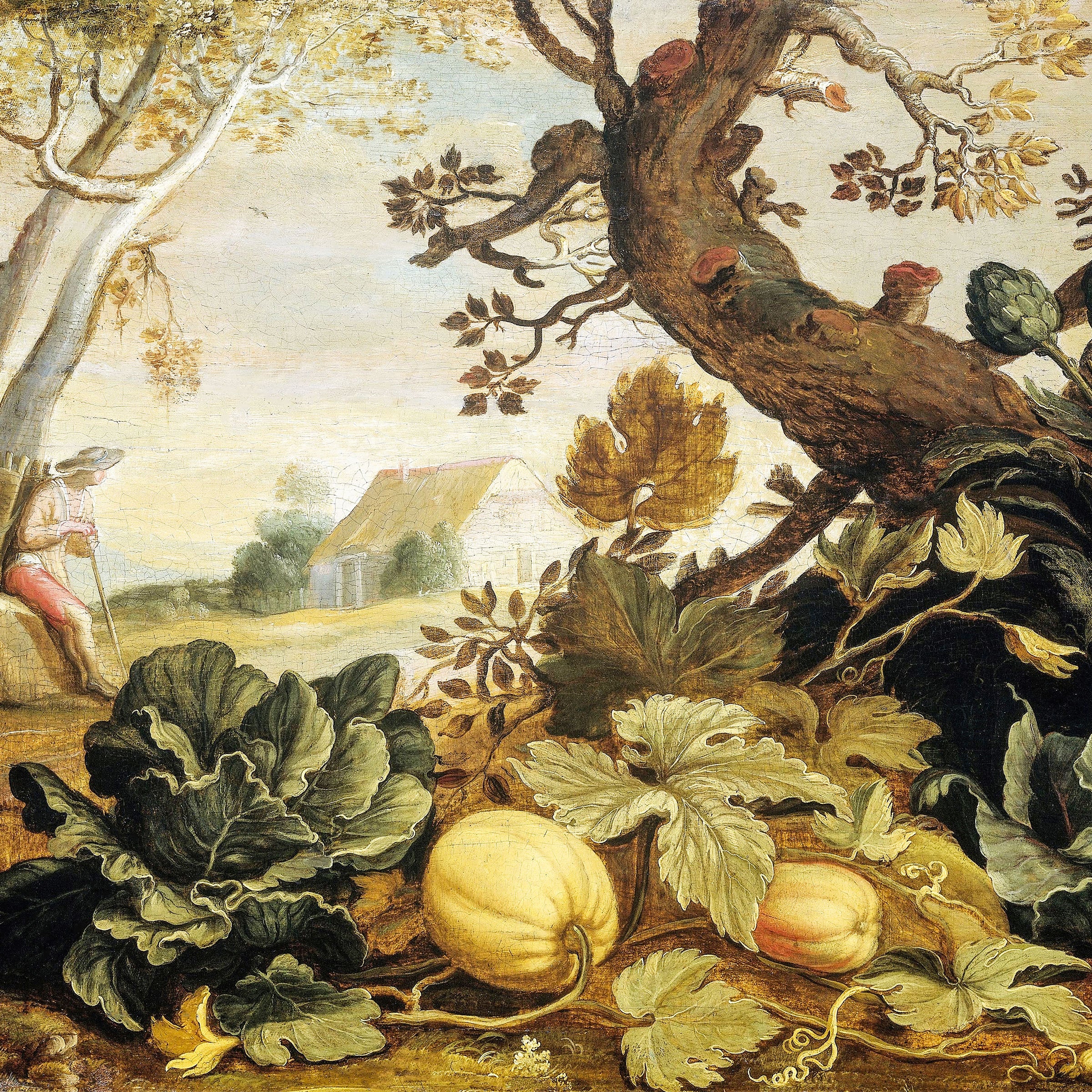 fall veggies