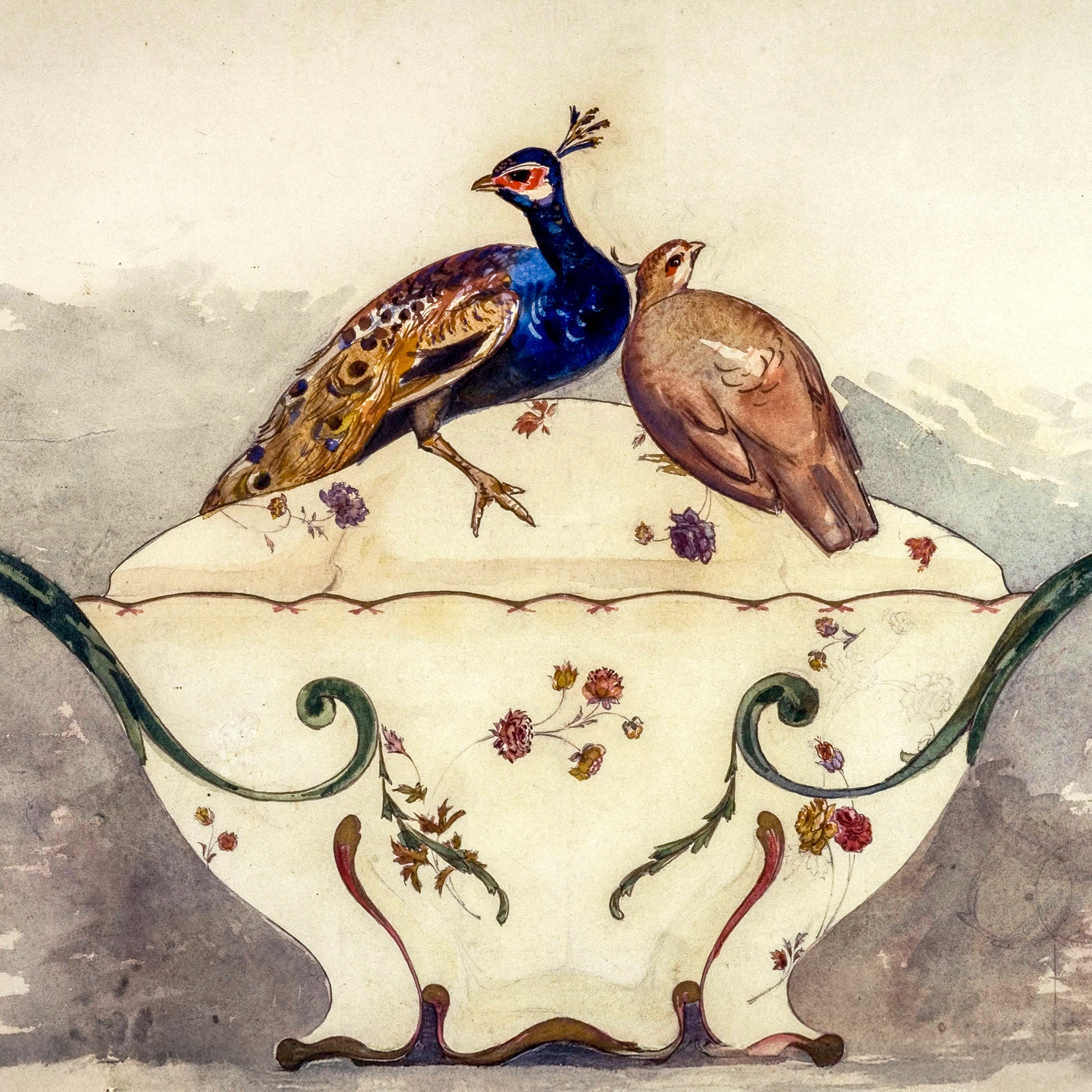 fine pheasant