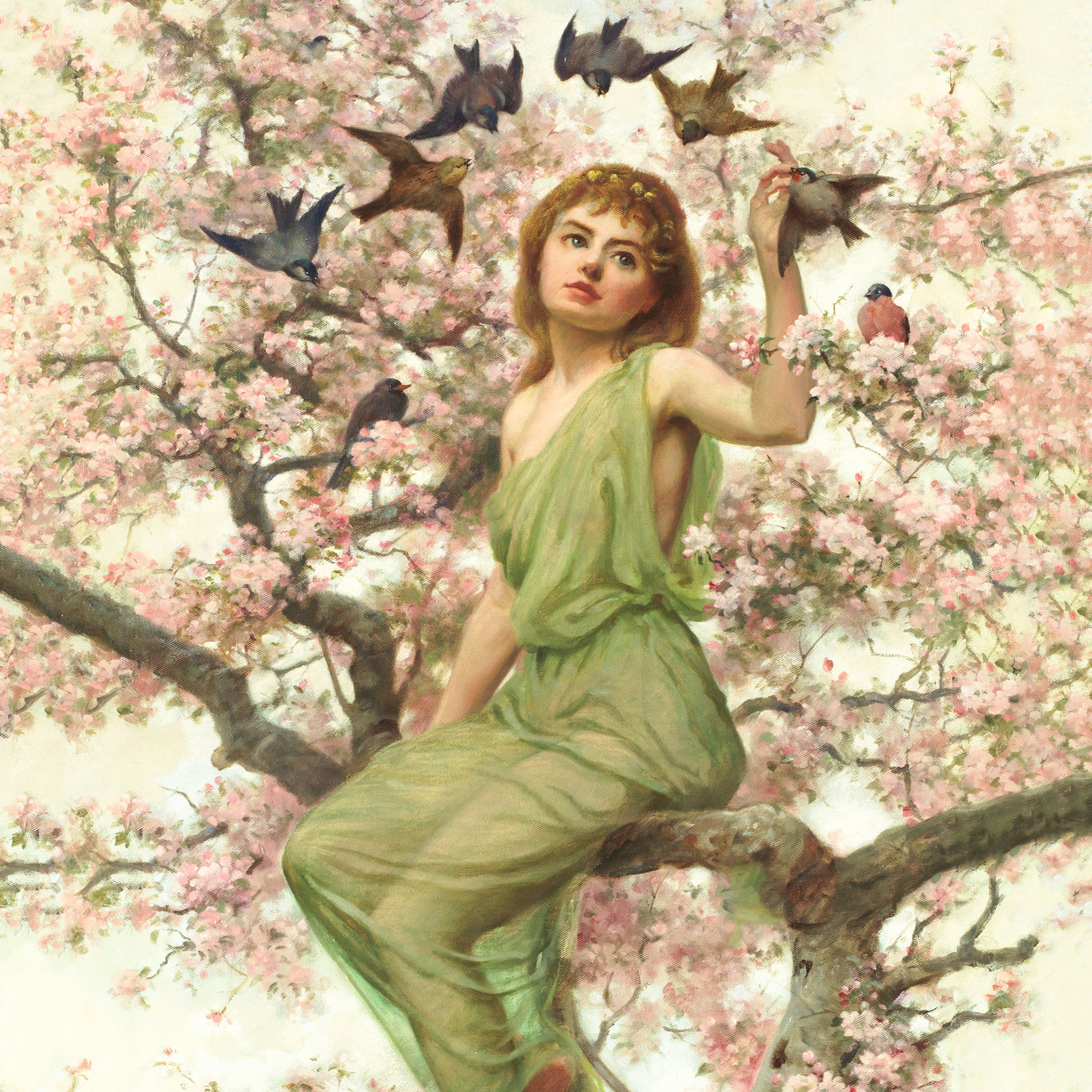birds of spring