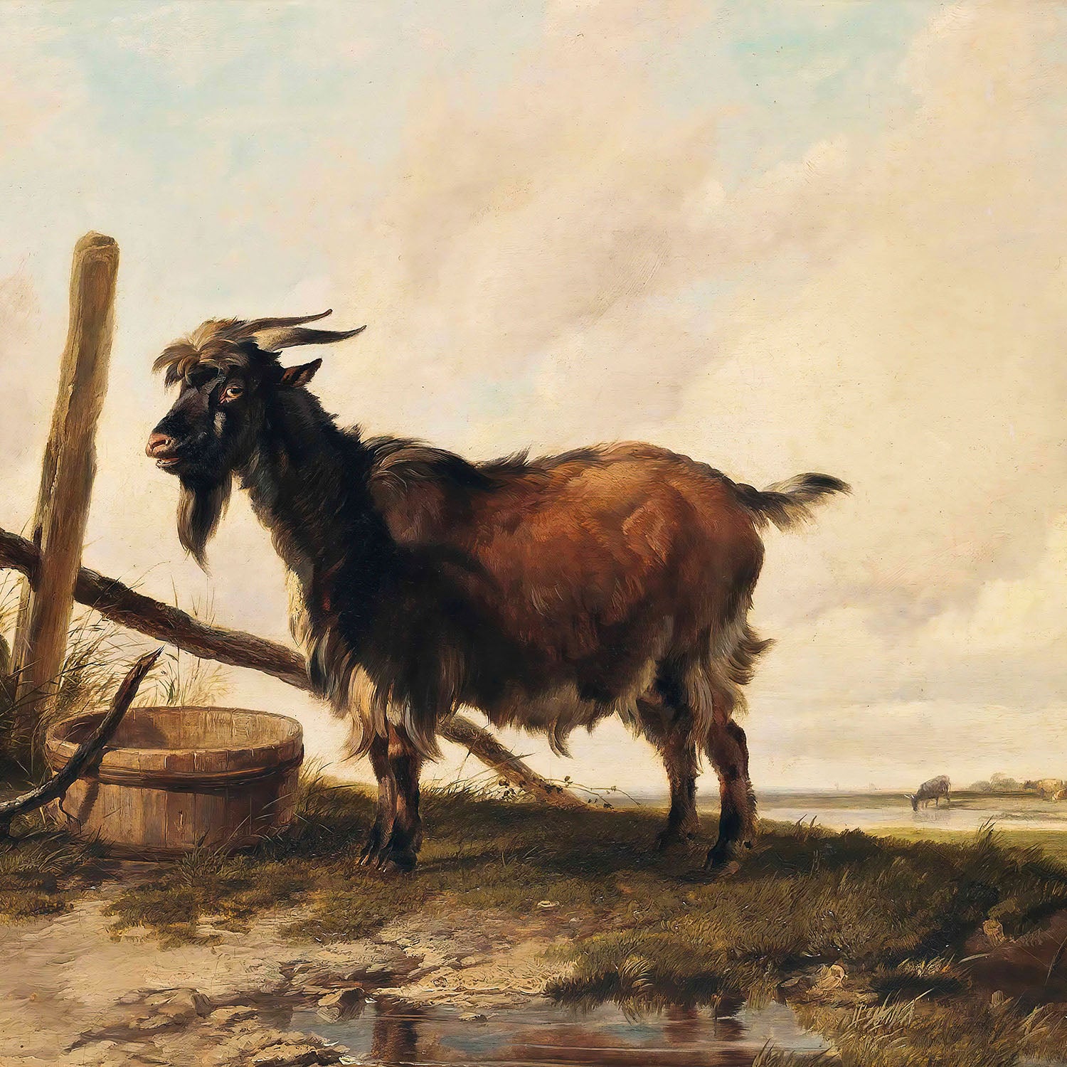goat in the landscape