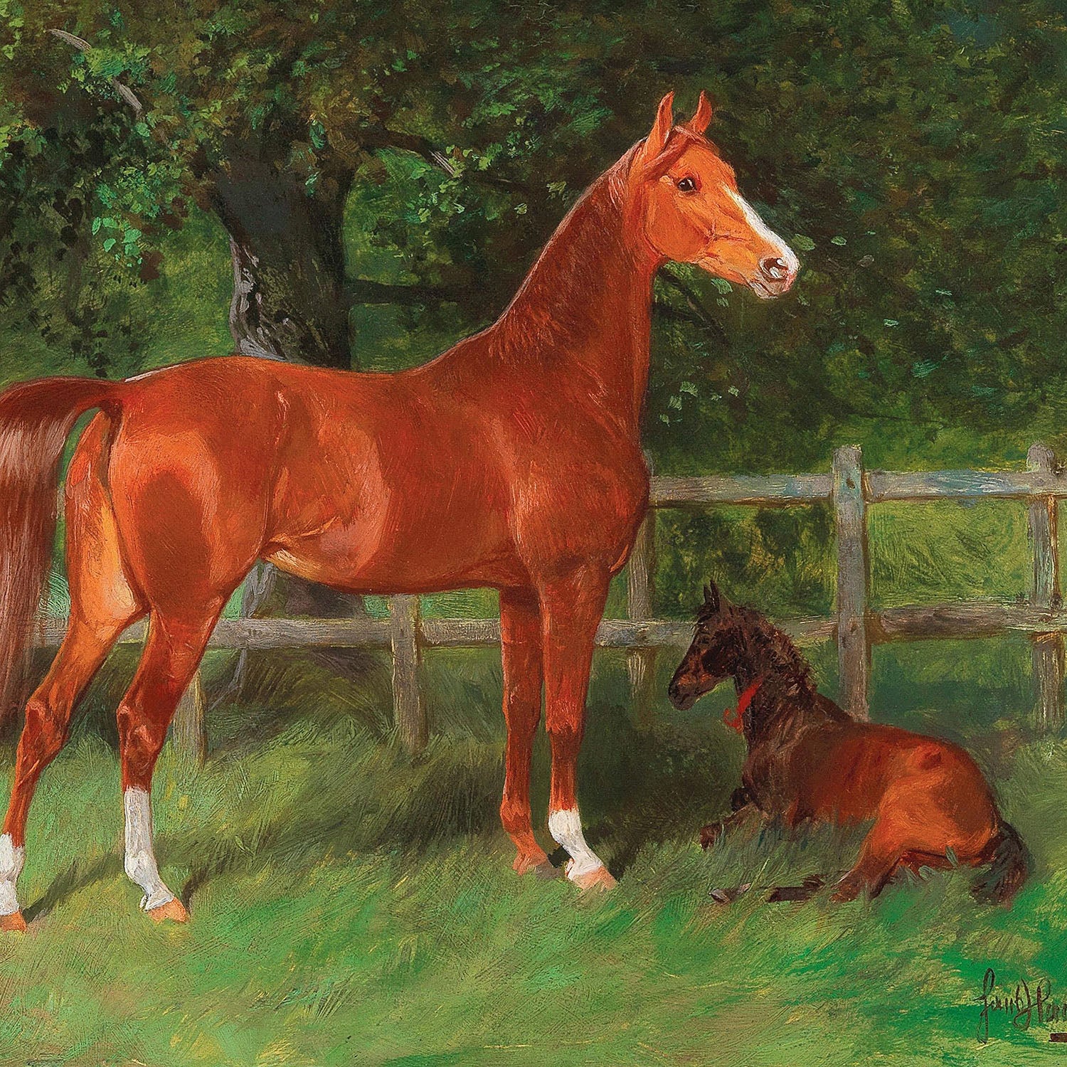 chestnut