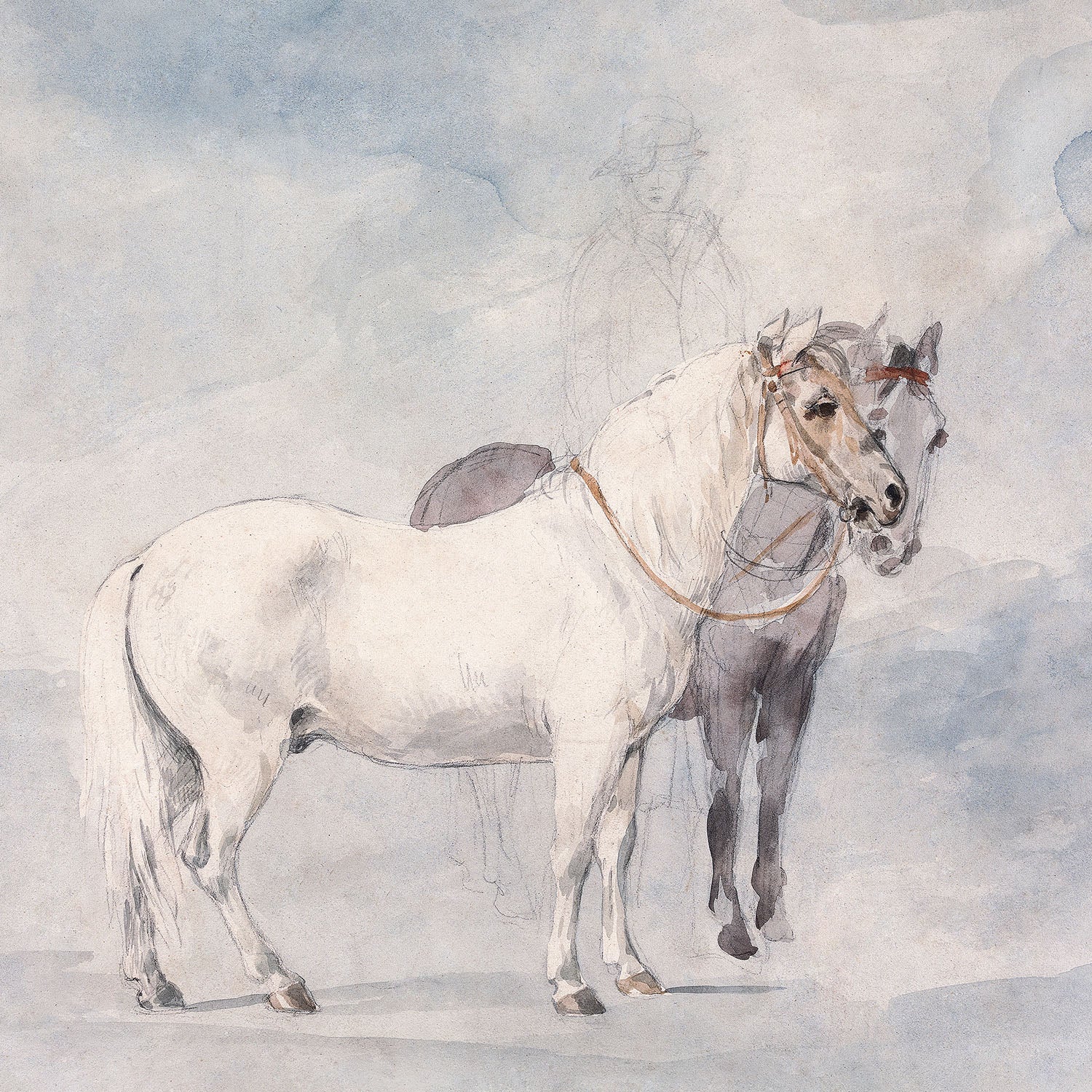 winter horses