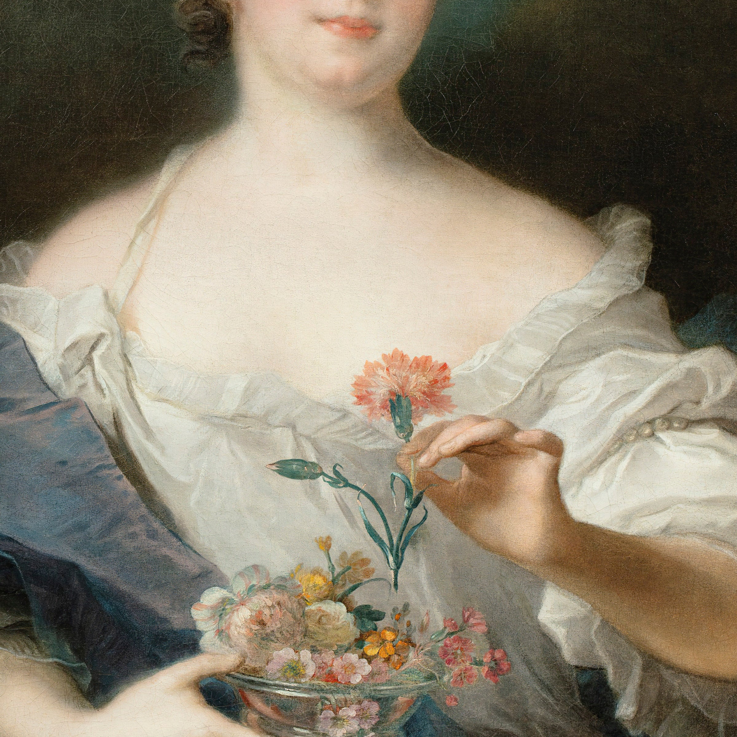 the carnation