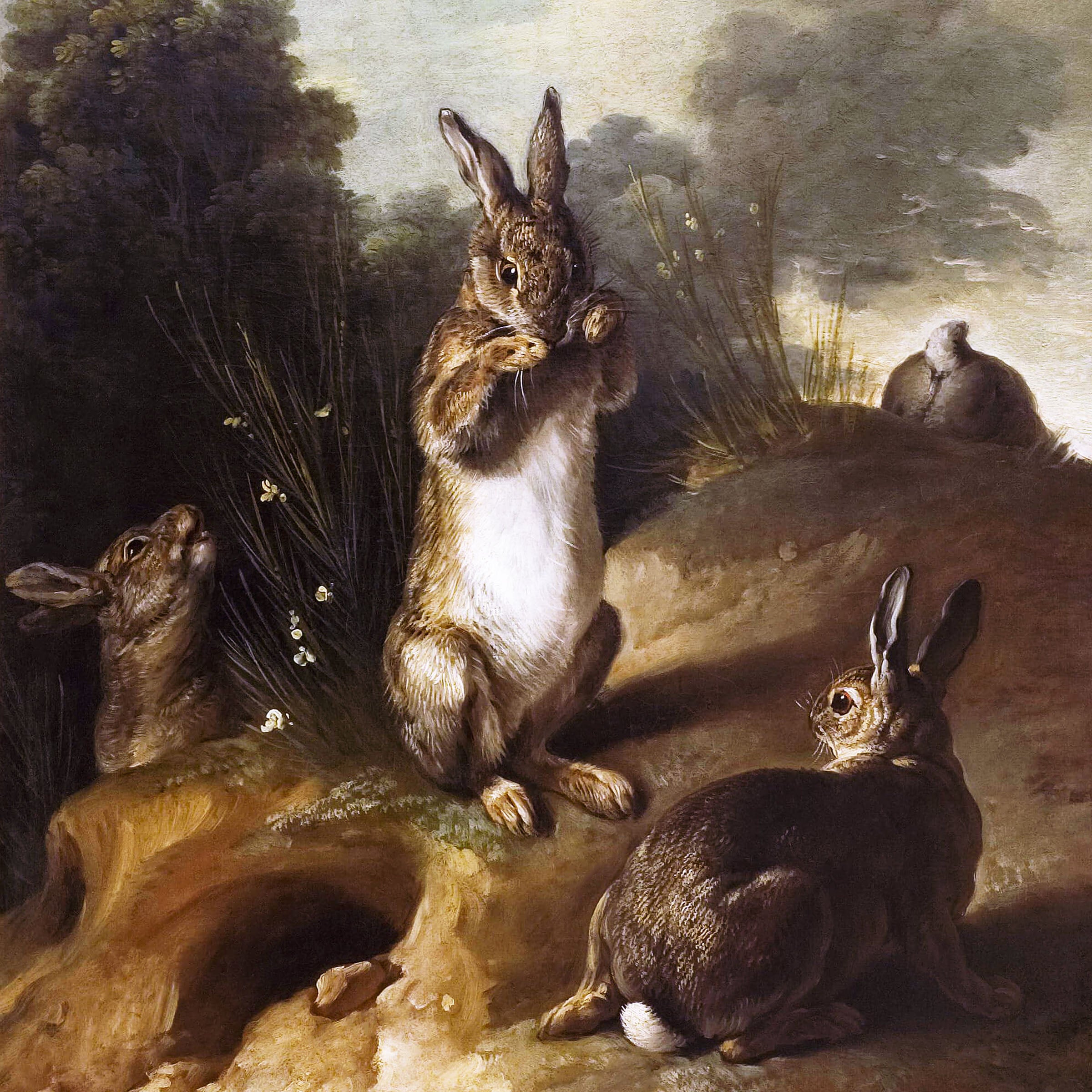 the rabbit hole