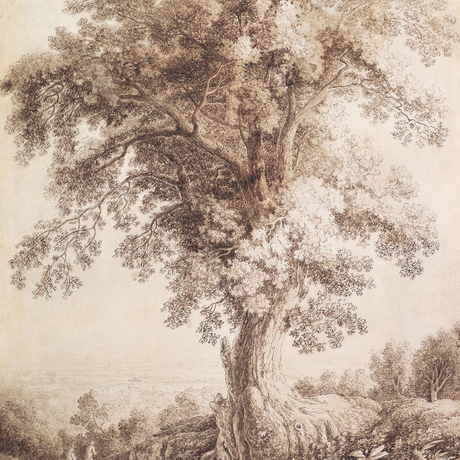 tree at albano