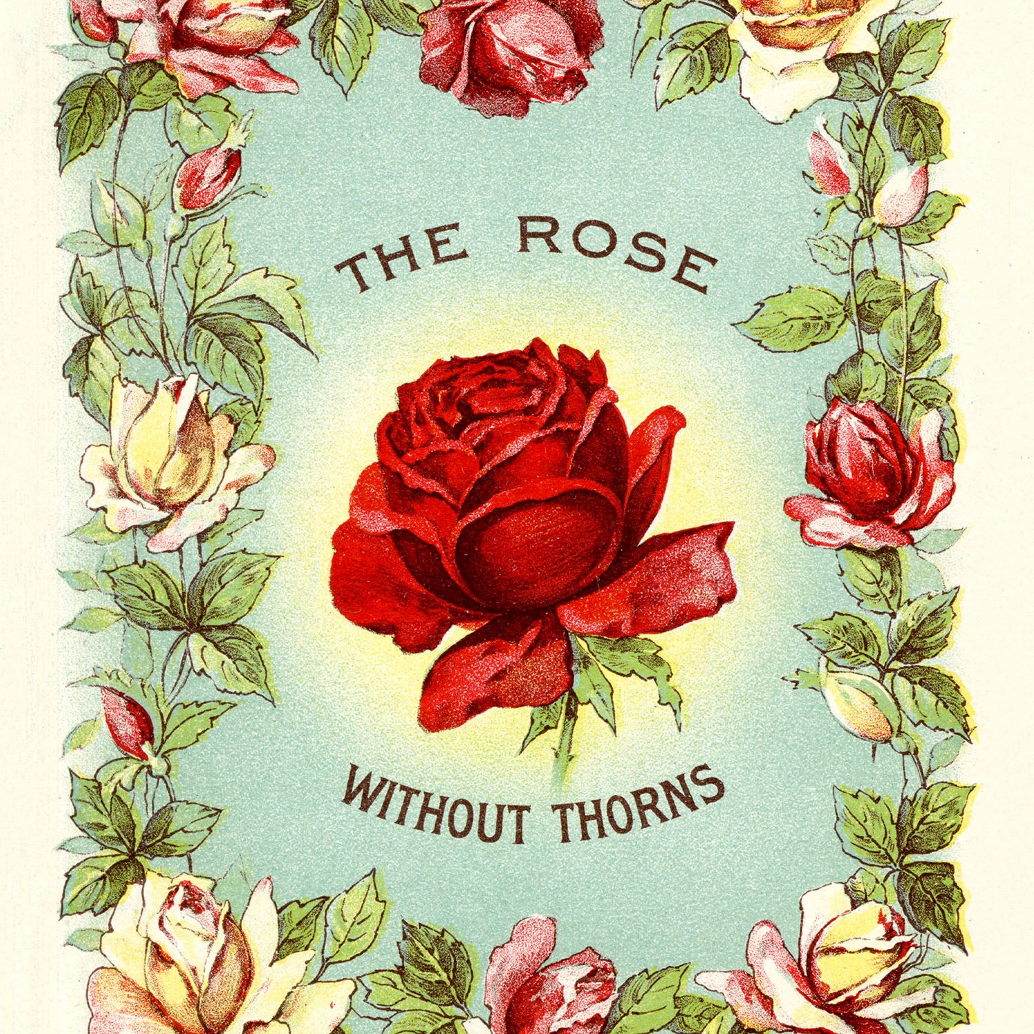 without thorns