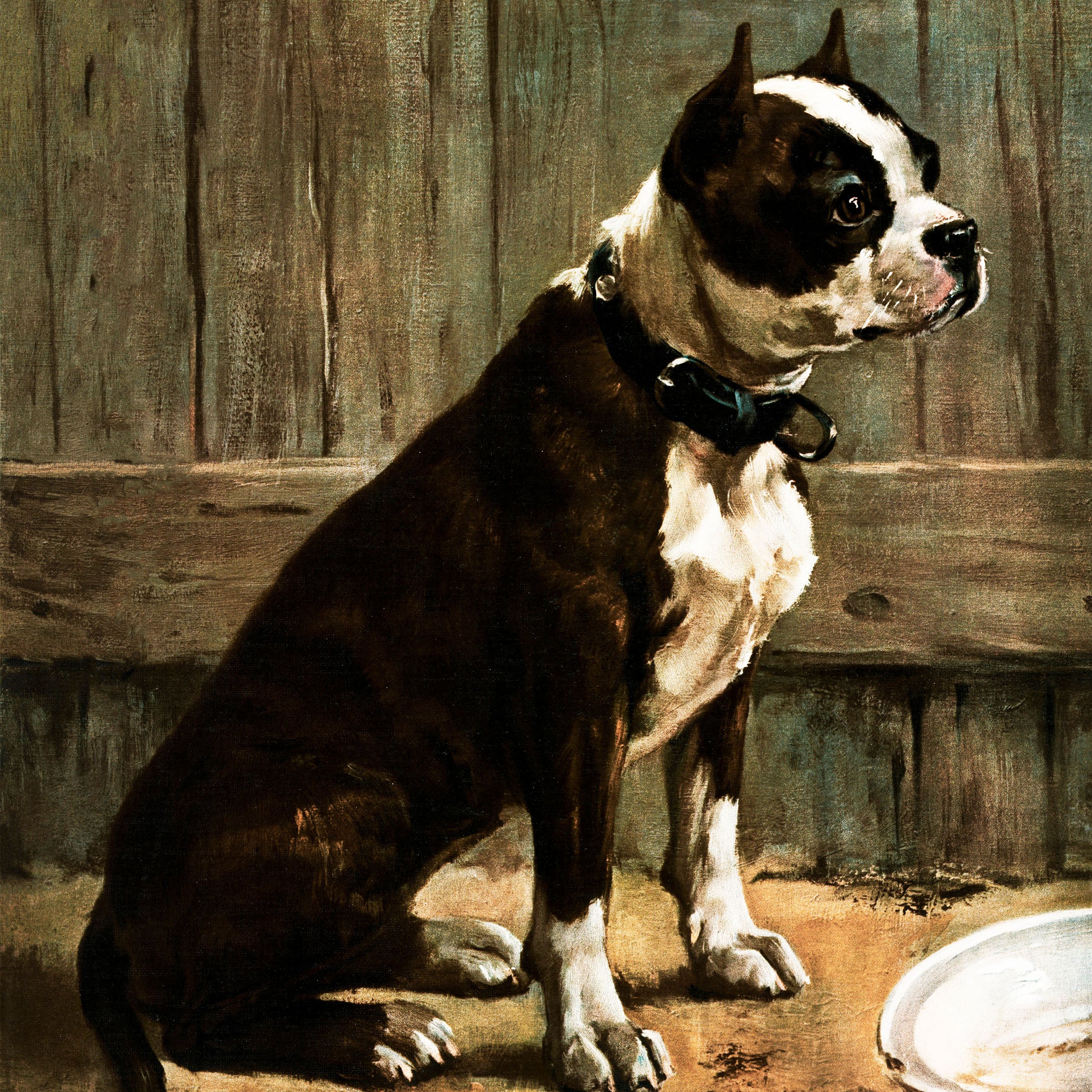 toby