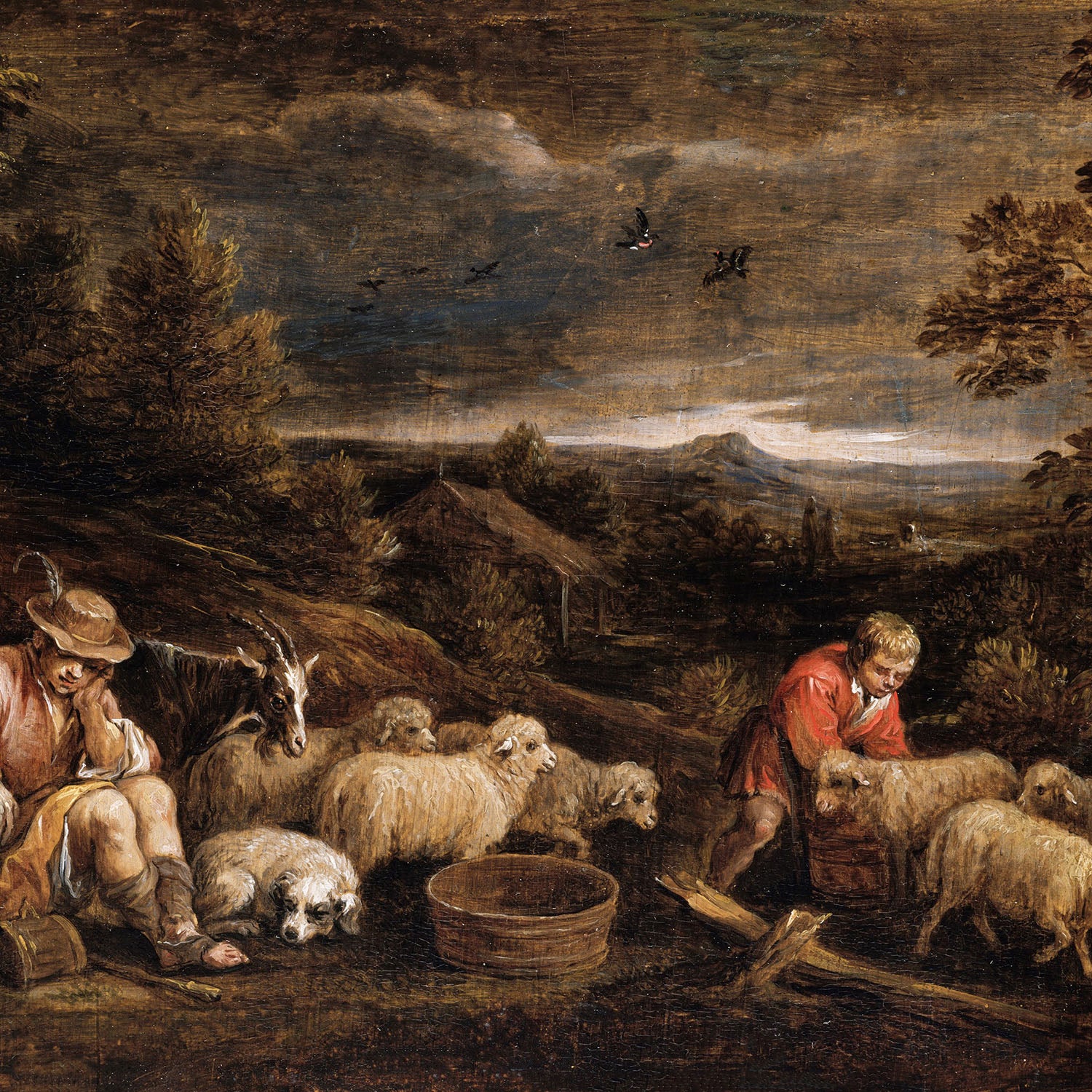 shepherds and sheep