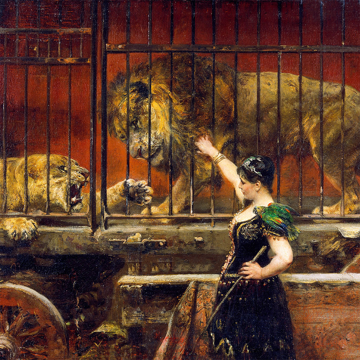 the jealous lioness