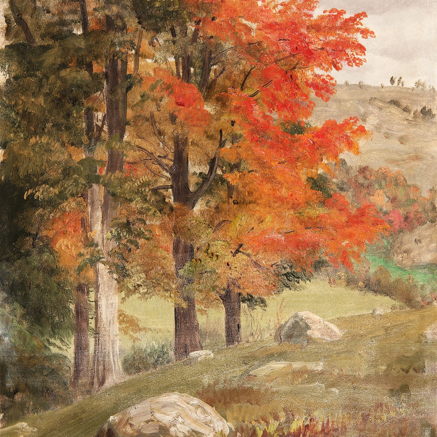 woods in autumn