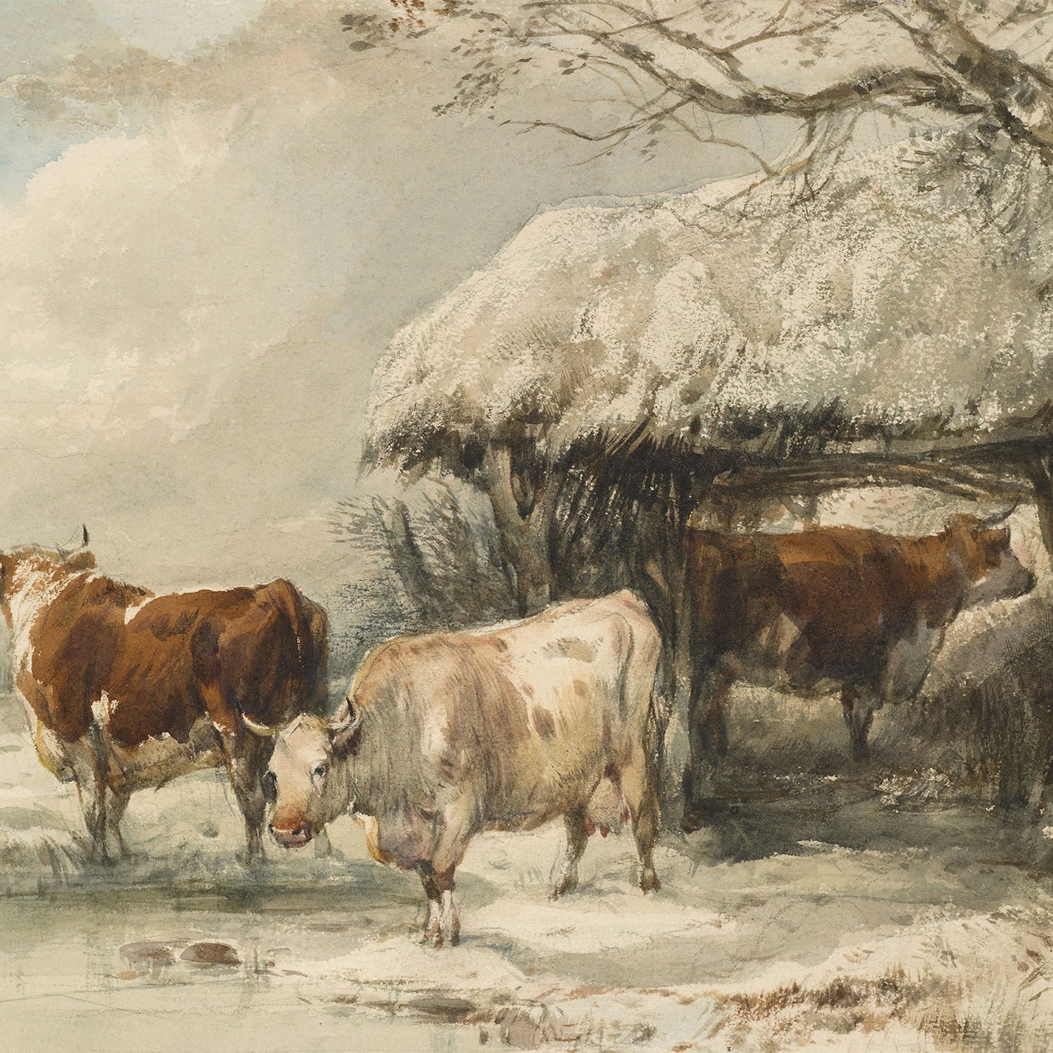 winter grazing