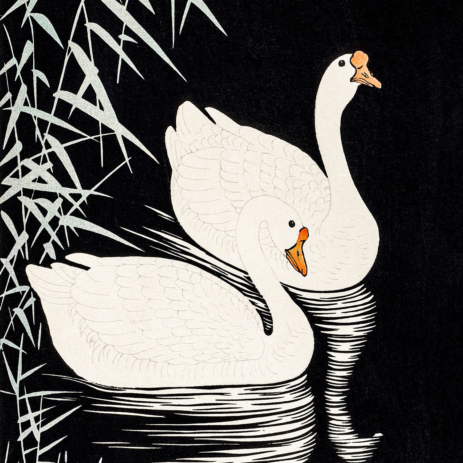 swimming by reeds