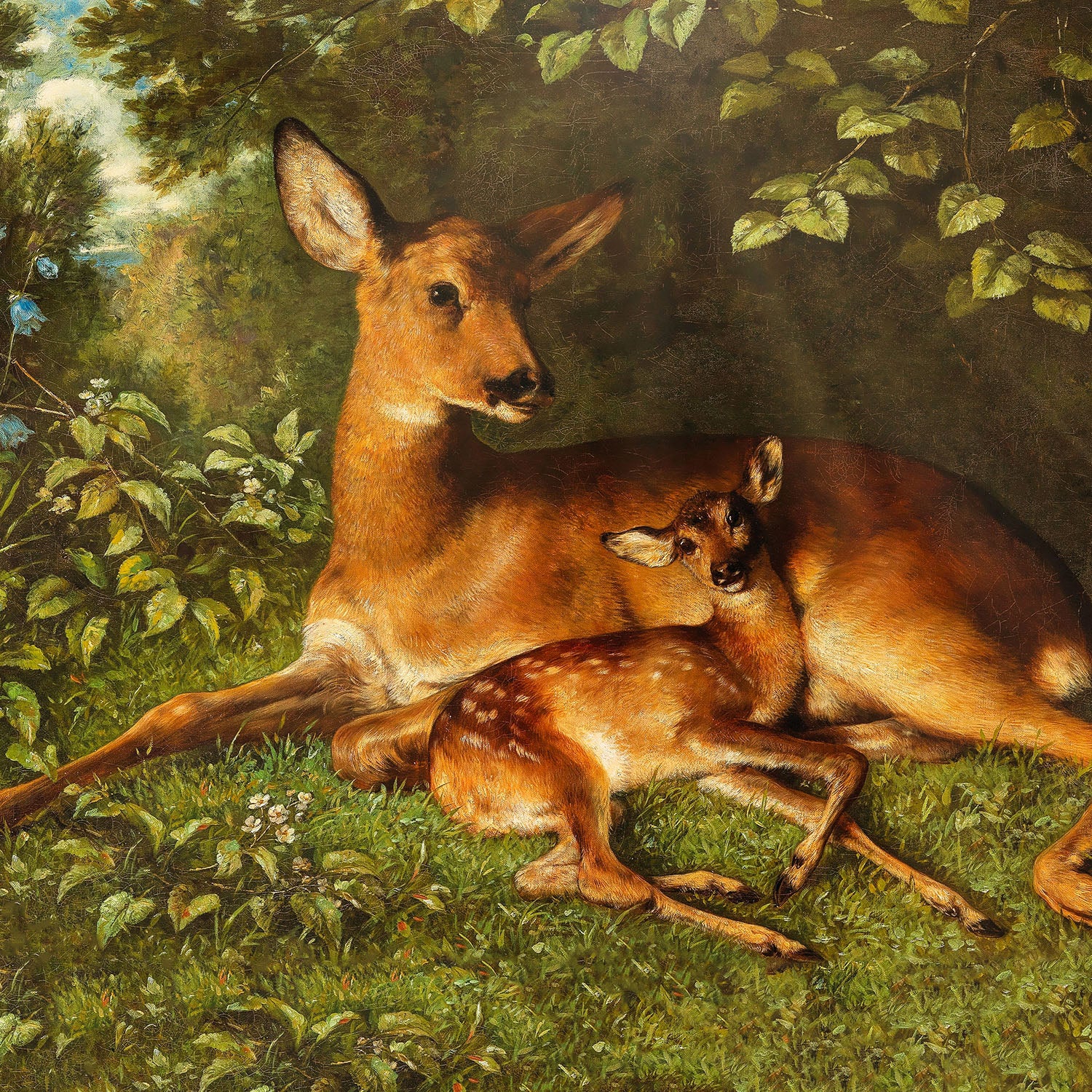 a doe with fawn
