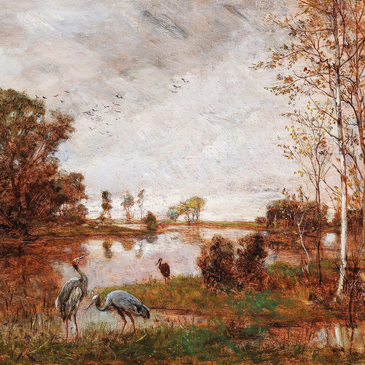 herons on the riverbank
