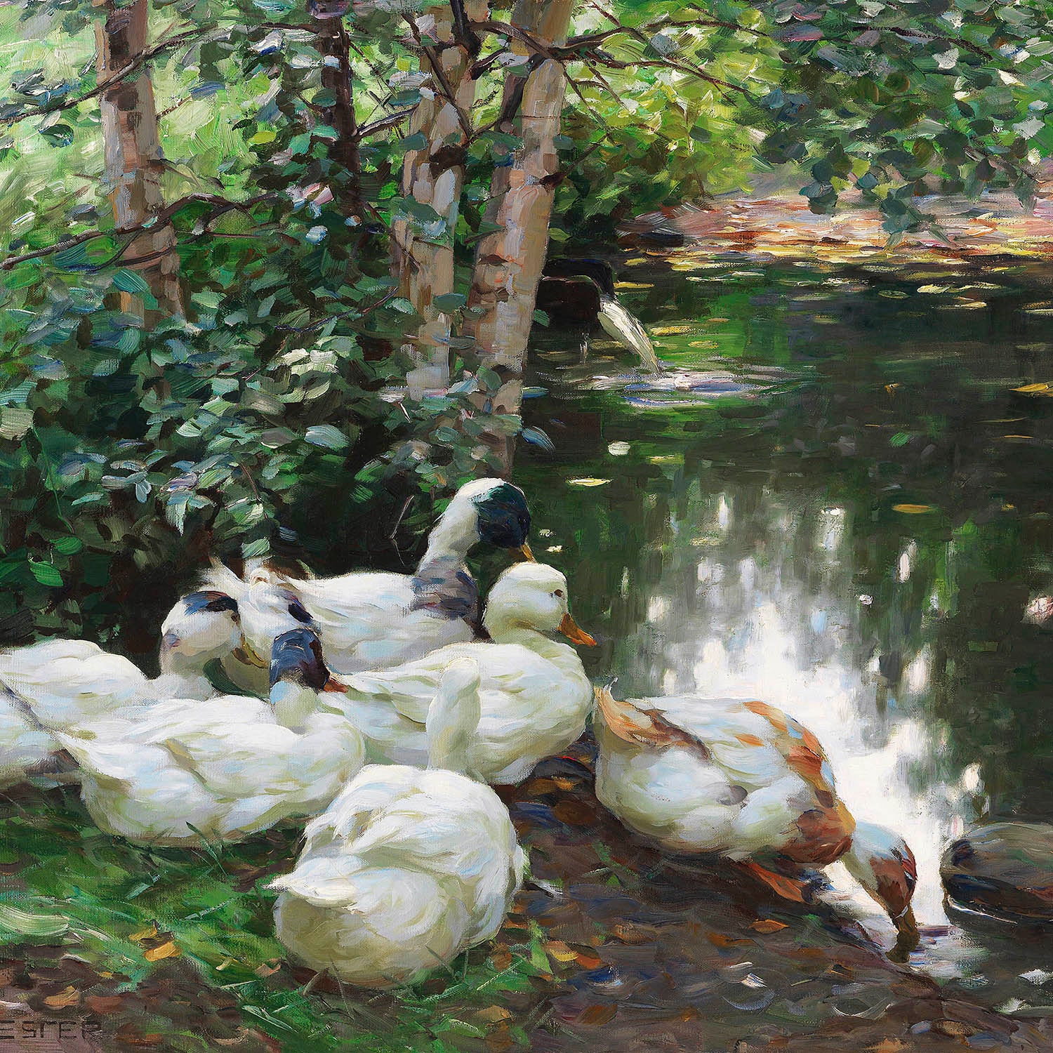 six ducks by the pond