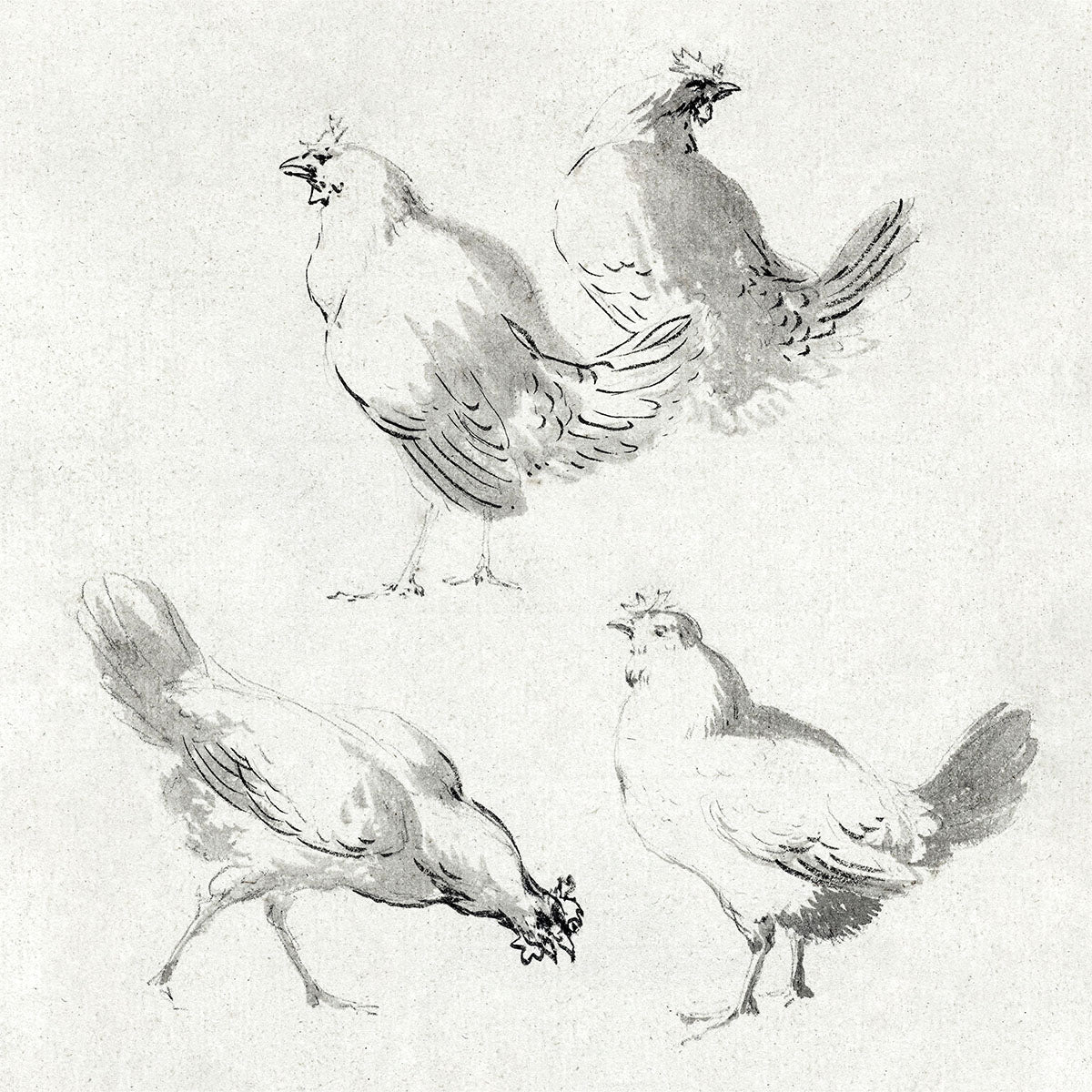 feeding yard