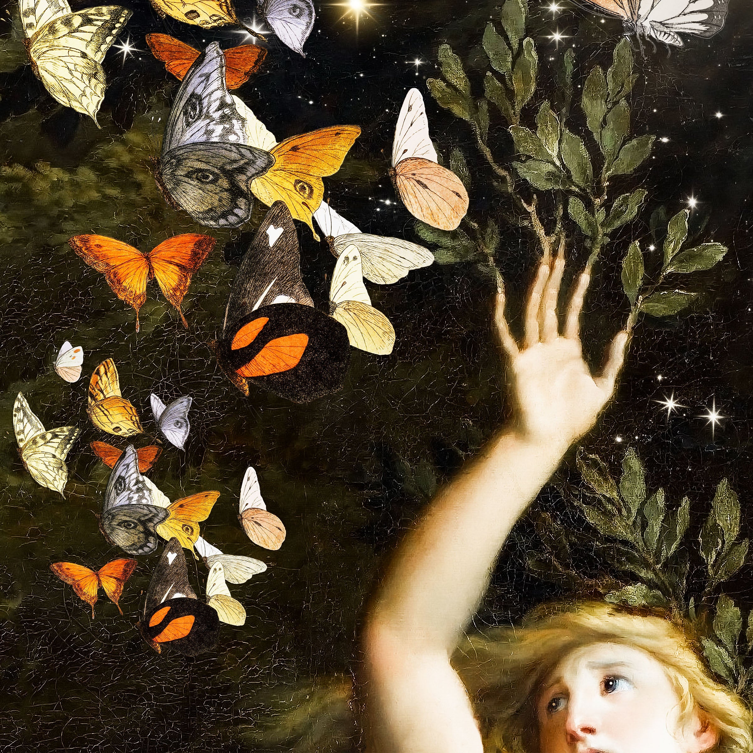 flight of the butterflies