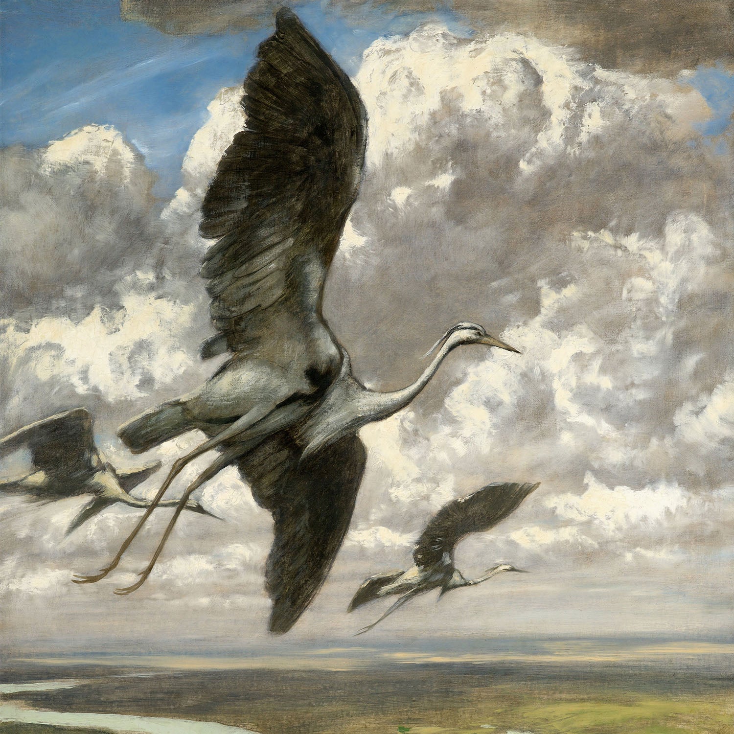 wondrous birds