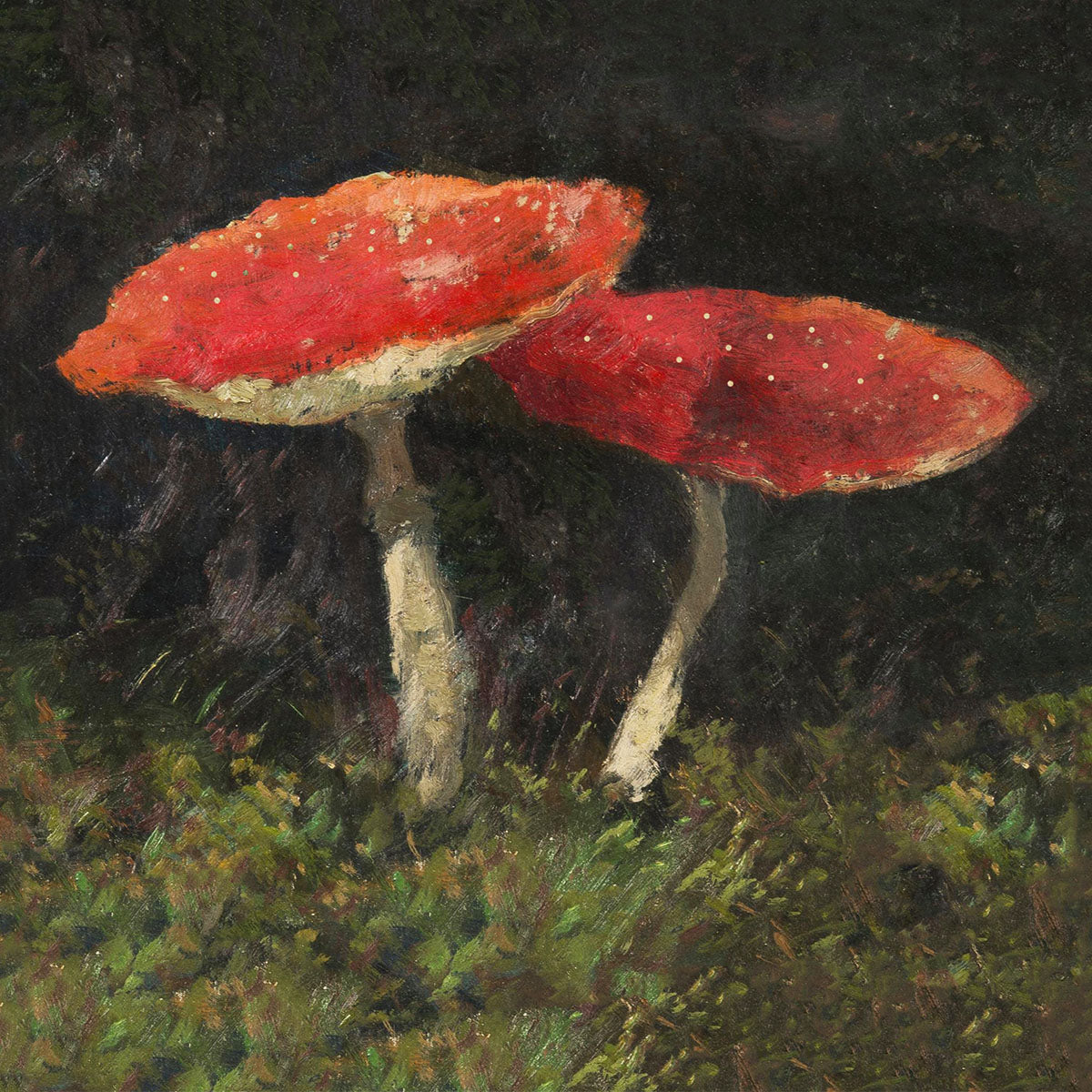 woodland floor