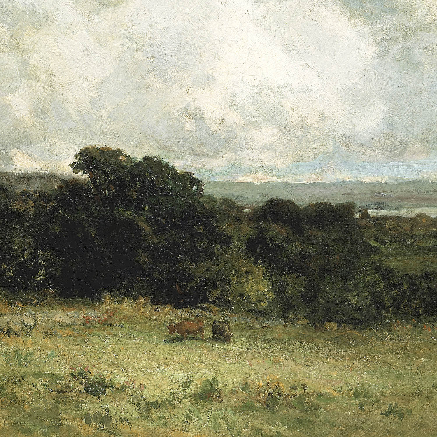 in the pasture