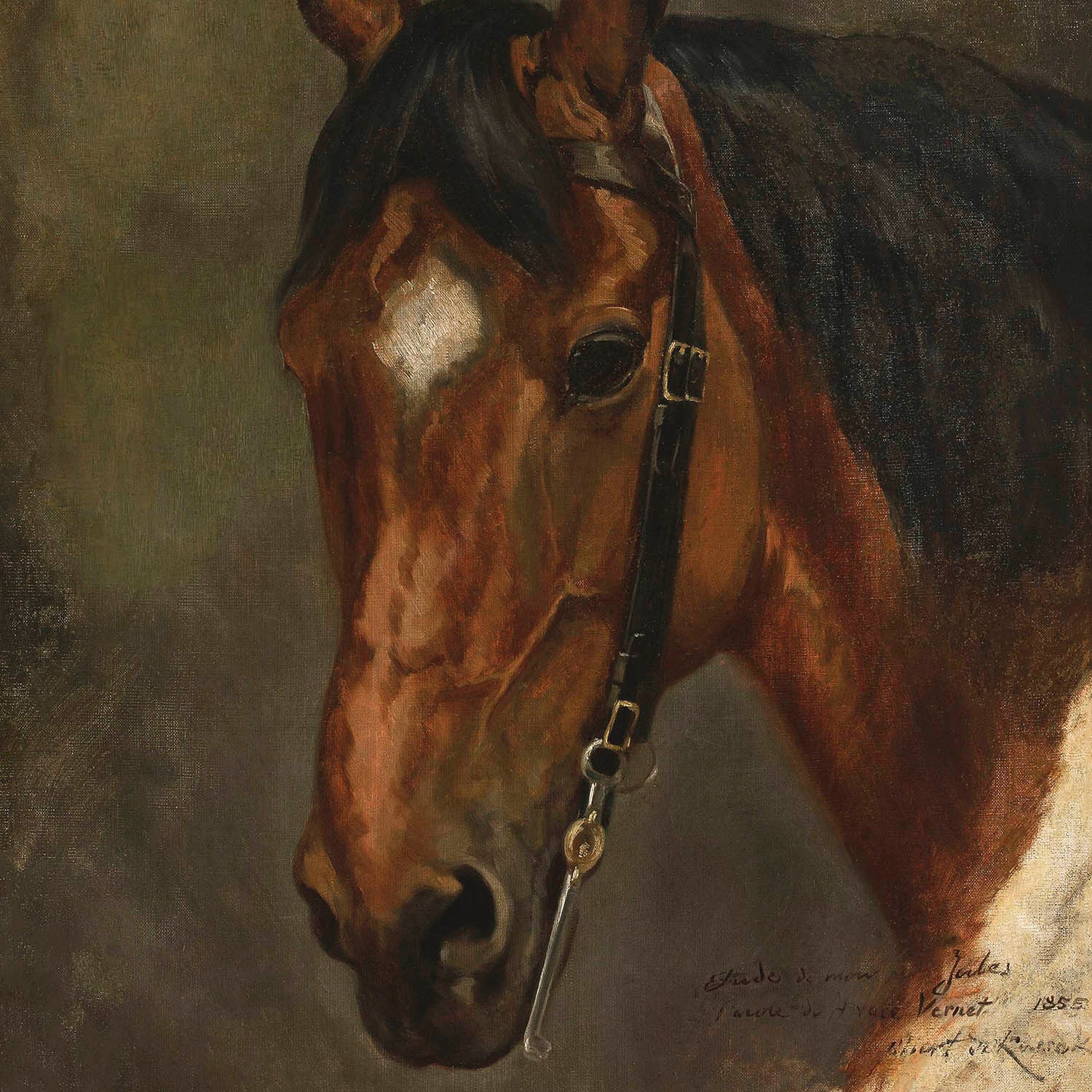 horse head