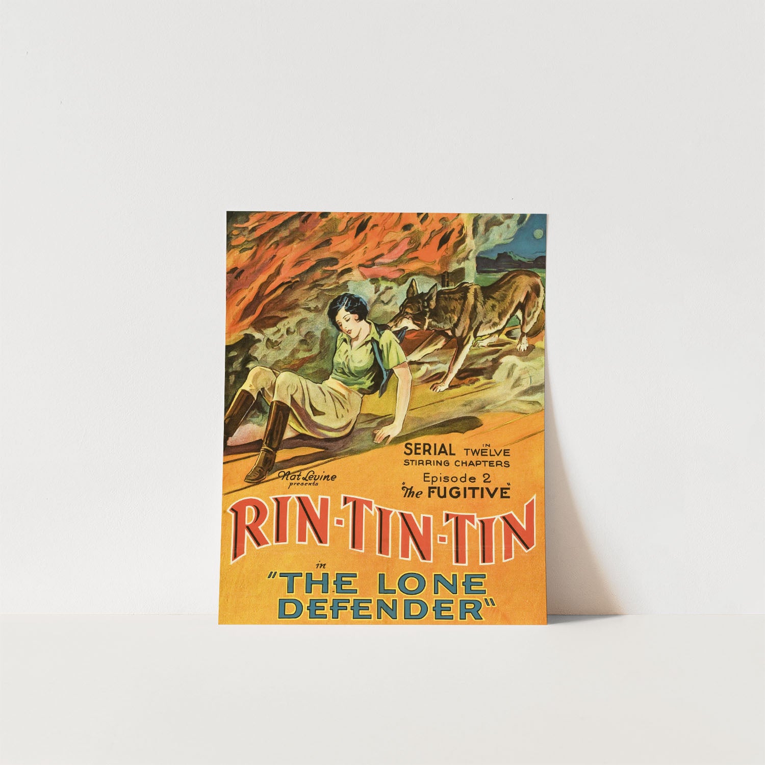 rin tin tin