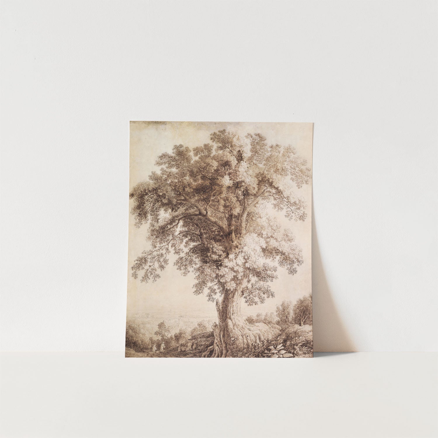 tree at albano