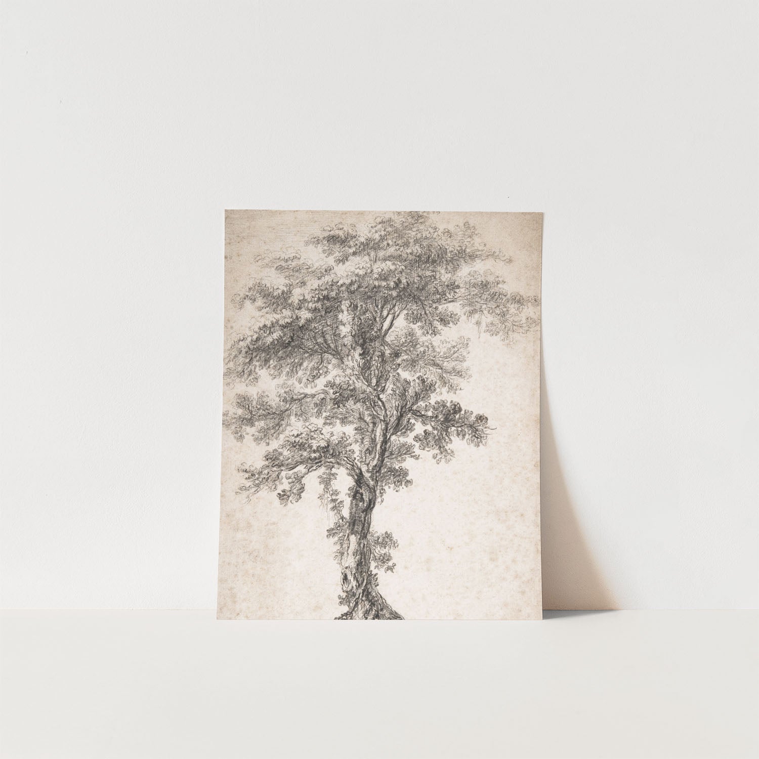tree study one