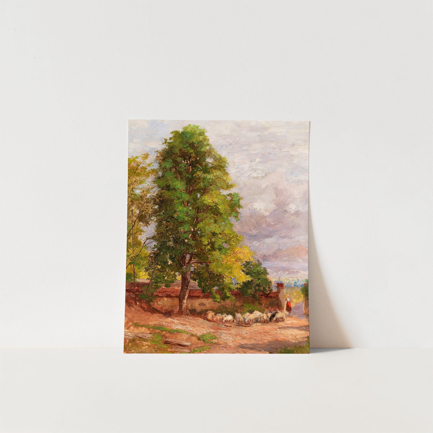 old chestnut tree