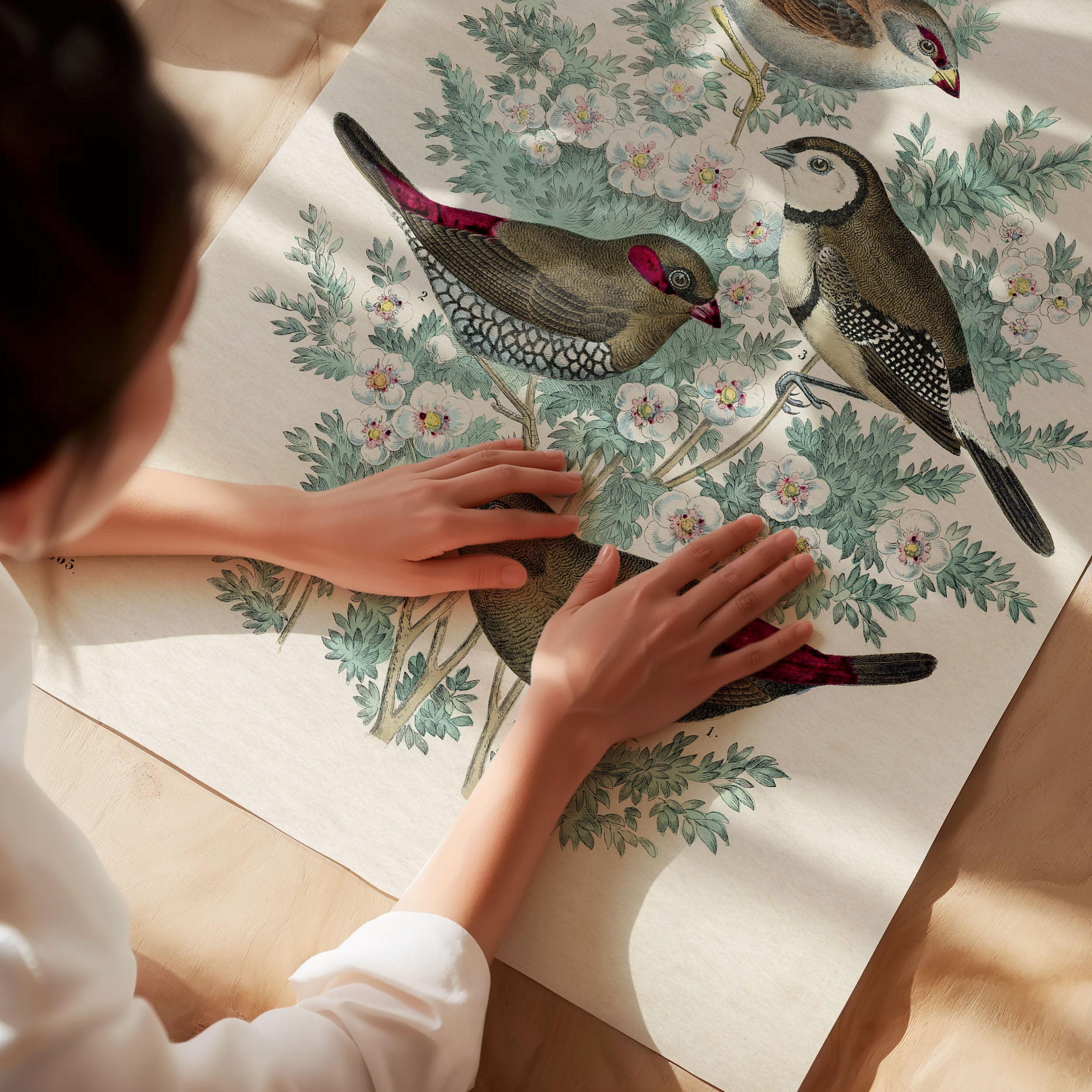 feathered friends