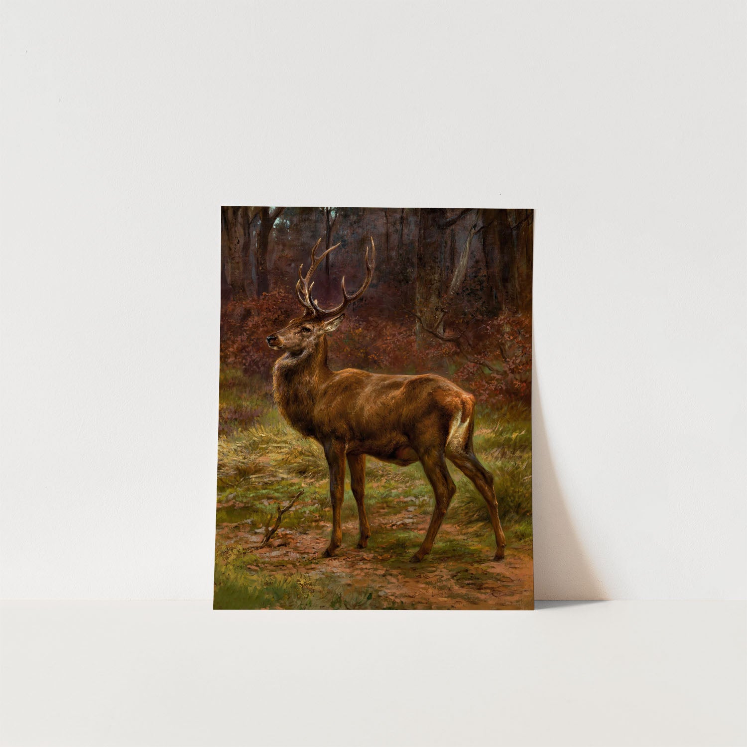 stag in autumn landscape