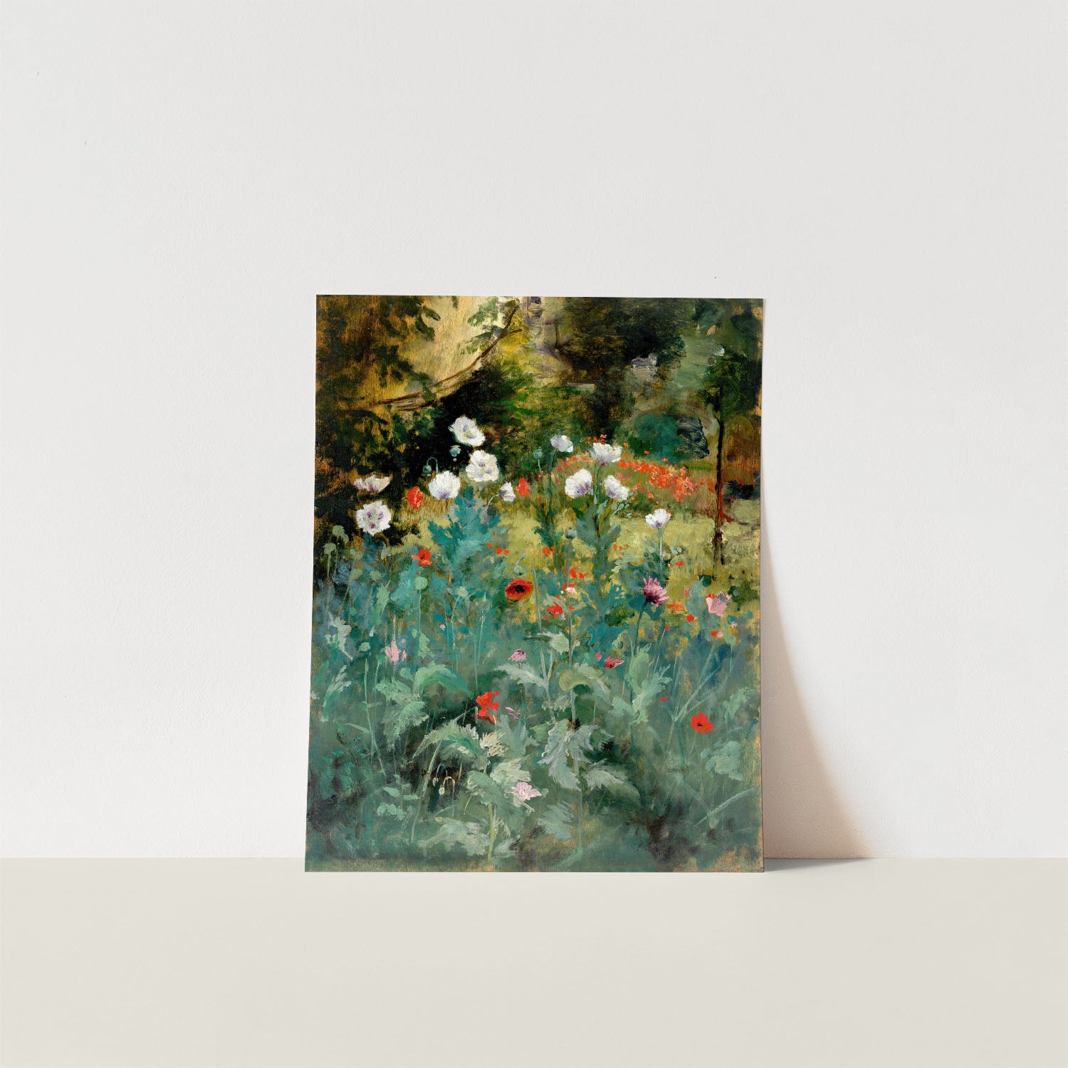 poppies in the garden