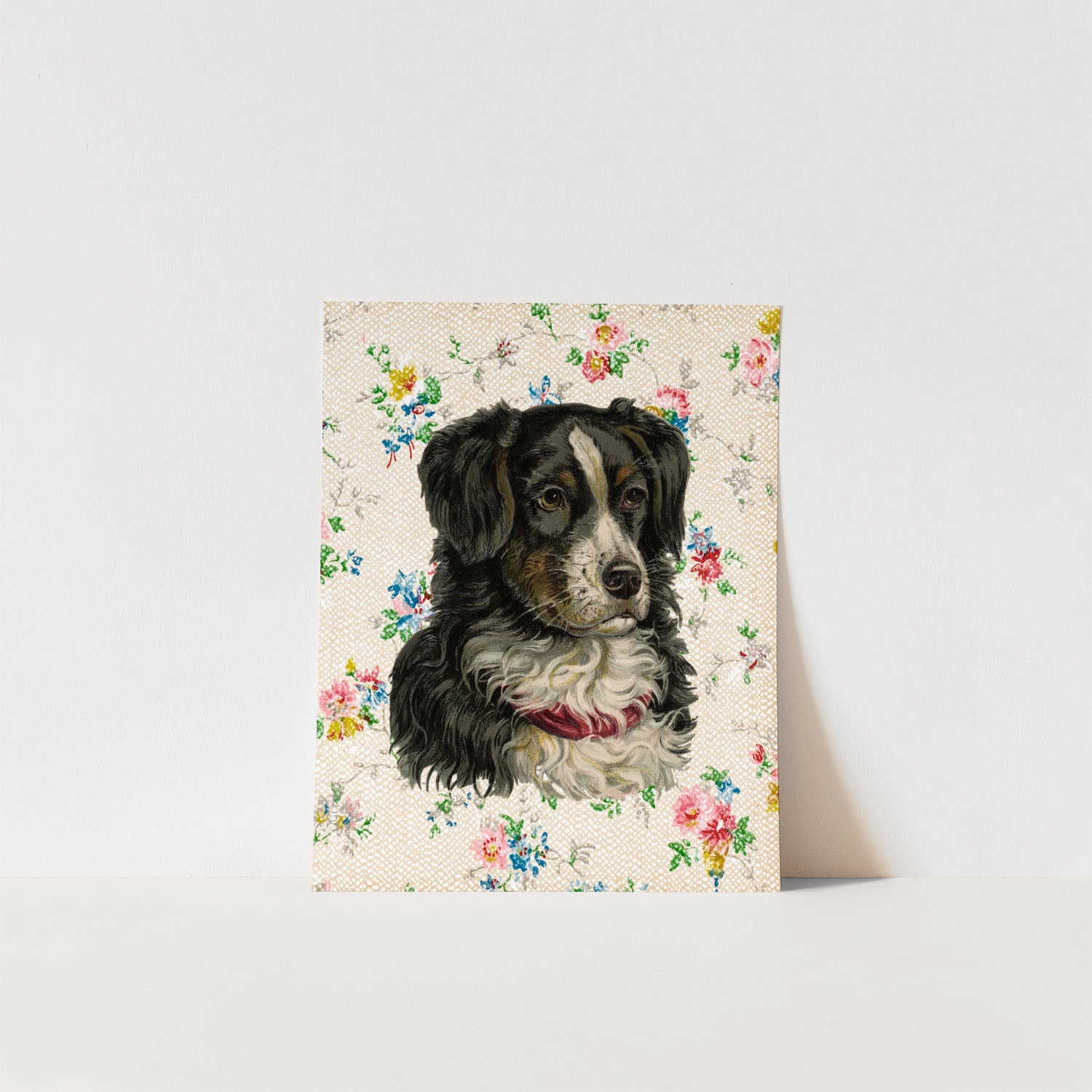 puppy portrait: diego