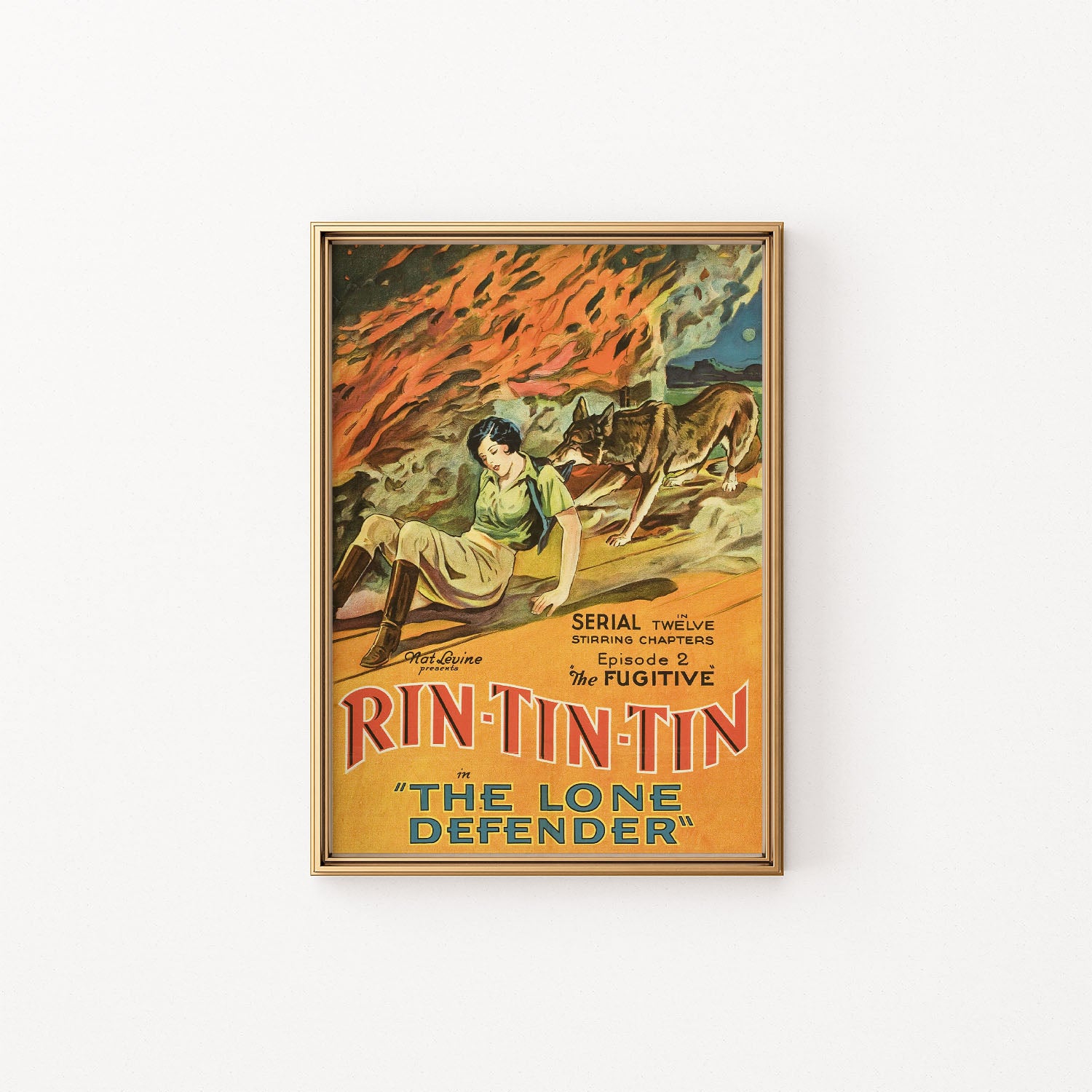 rin tin tin