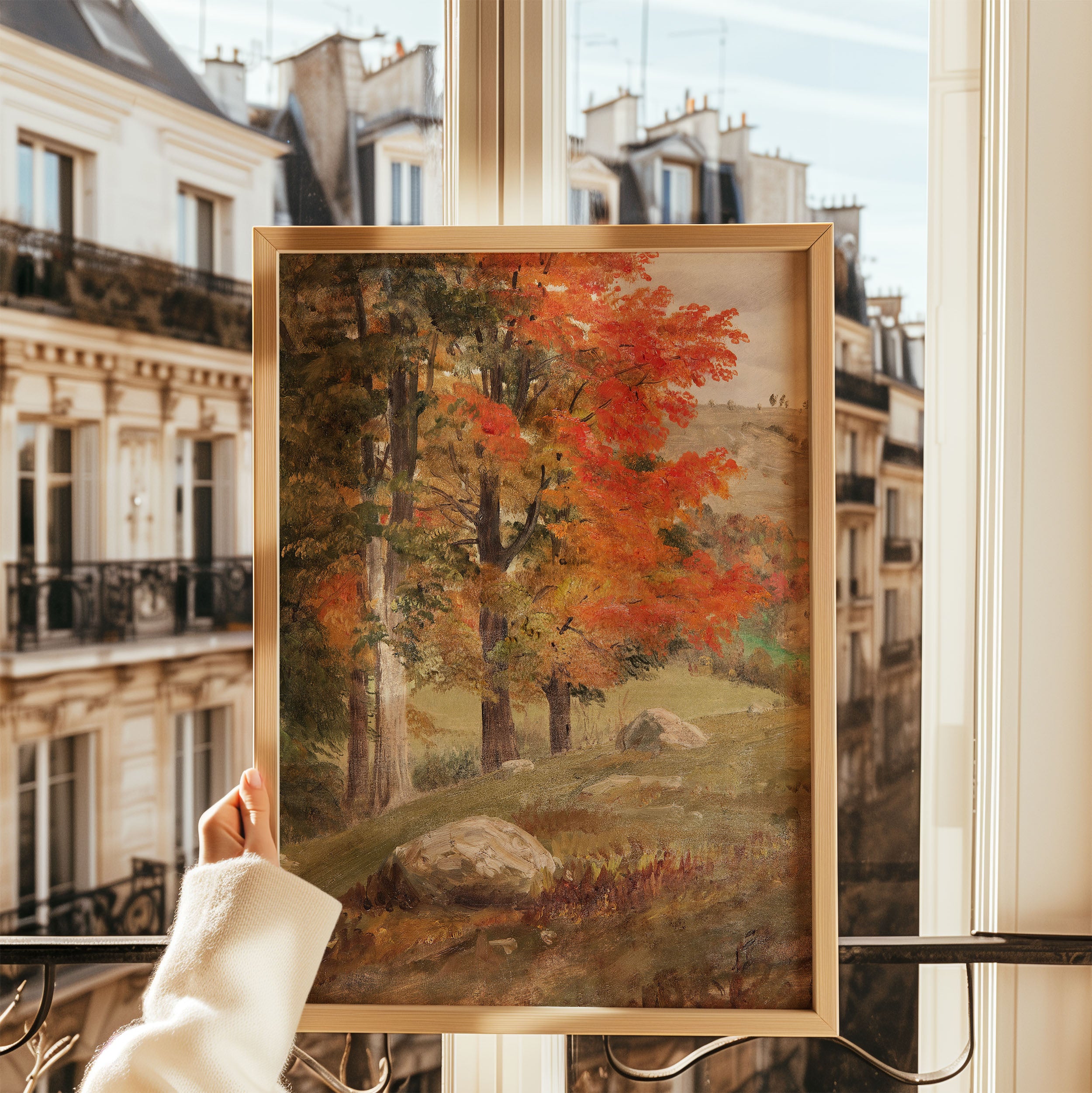 woods in autumn