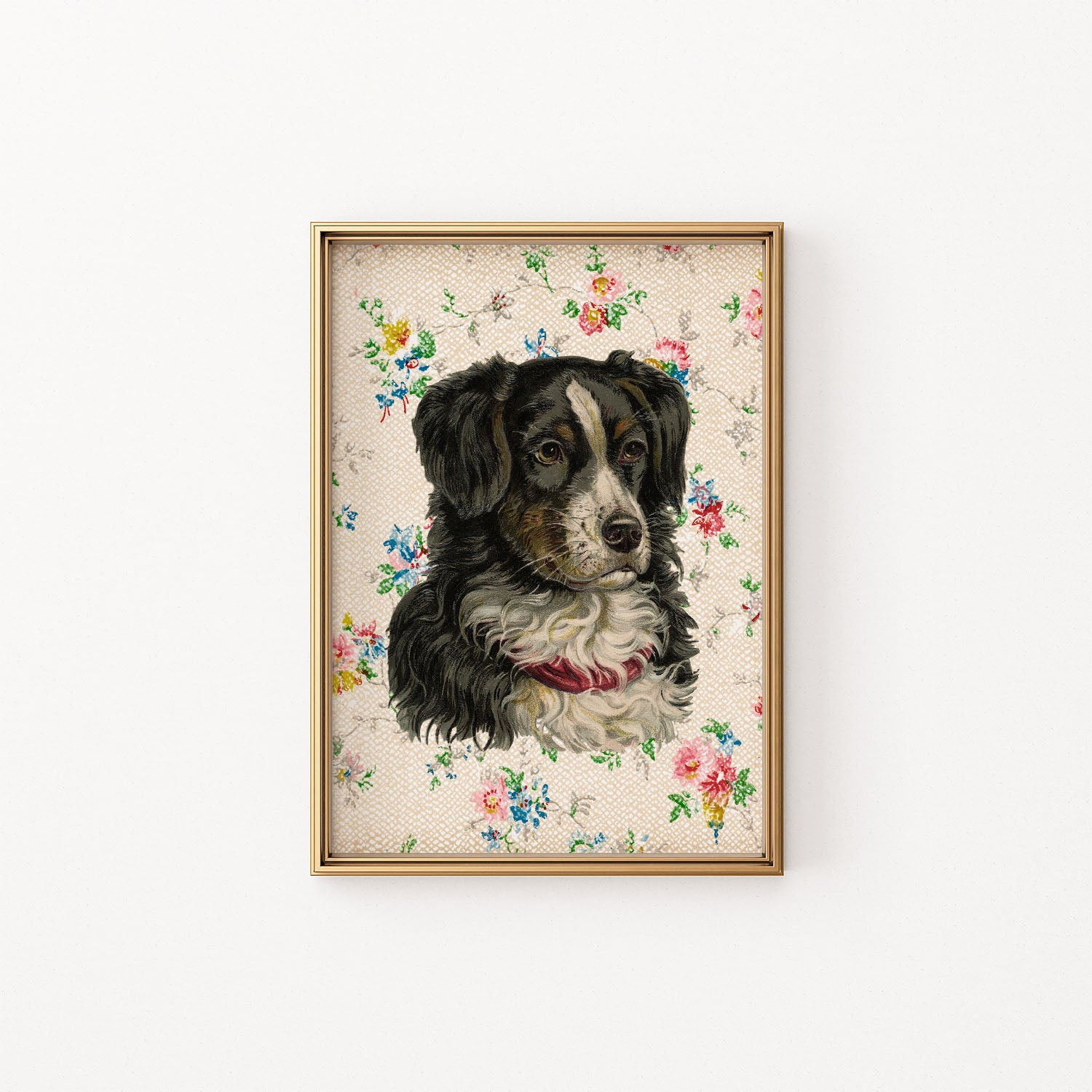 puppy portrait: diego