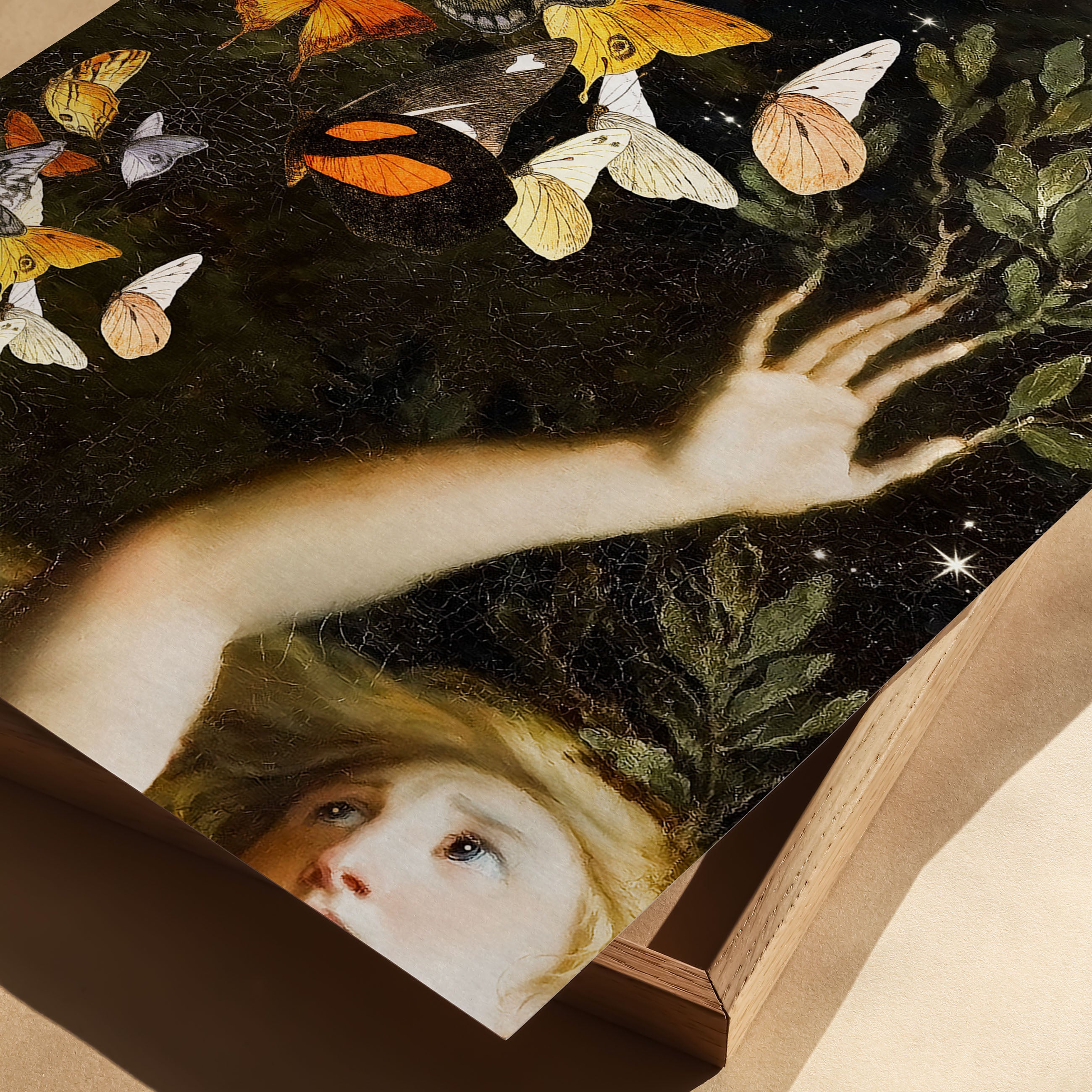 flight of the butterflies