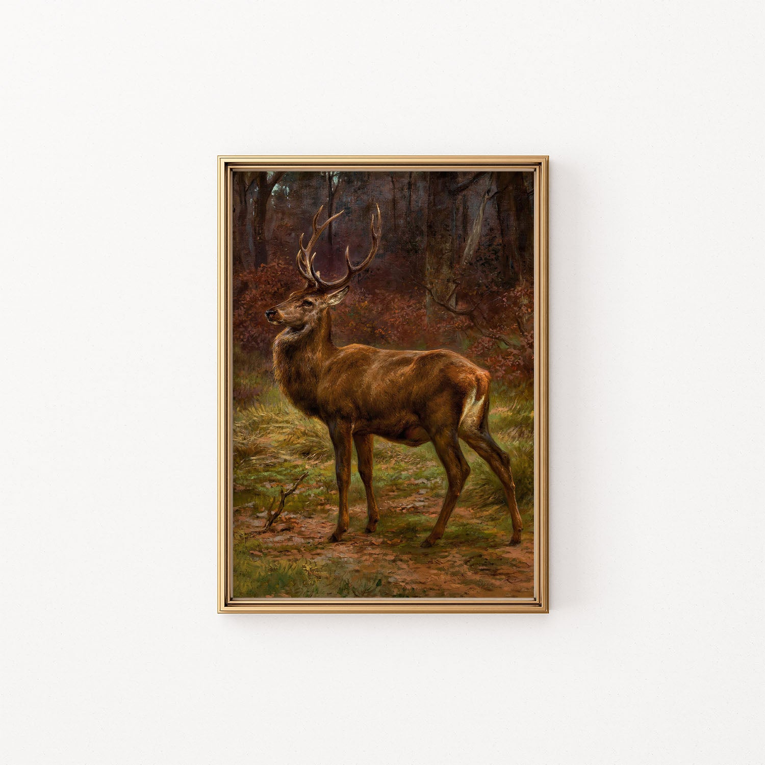 stag in autumn landscape