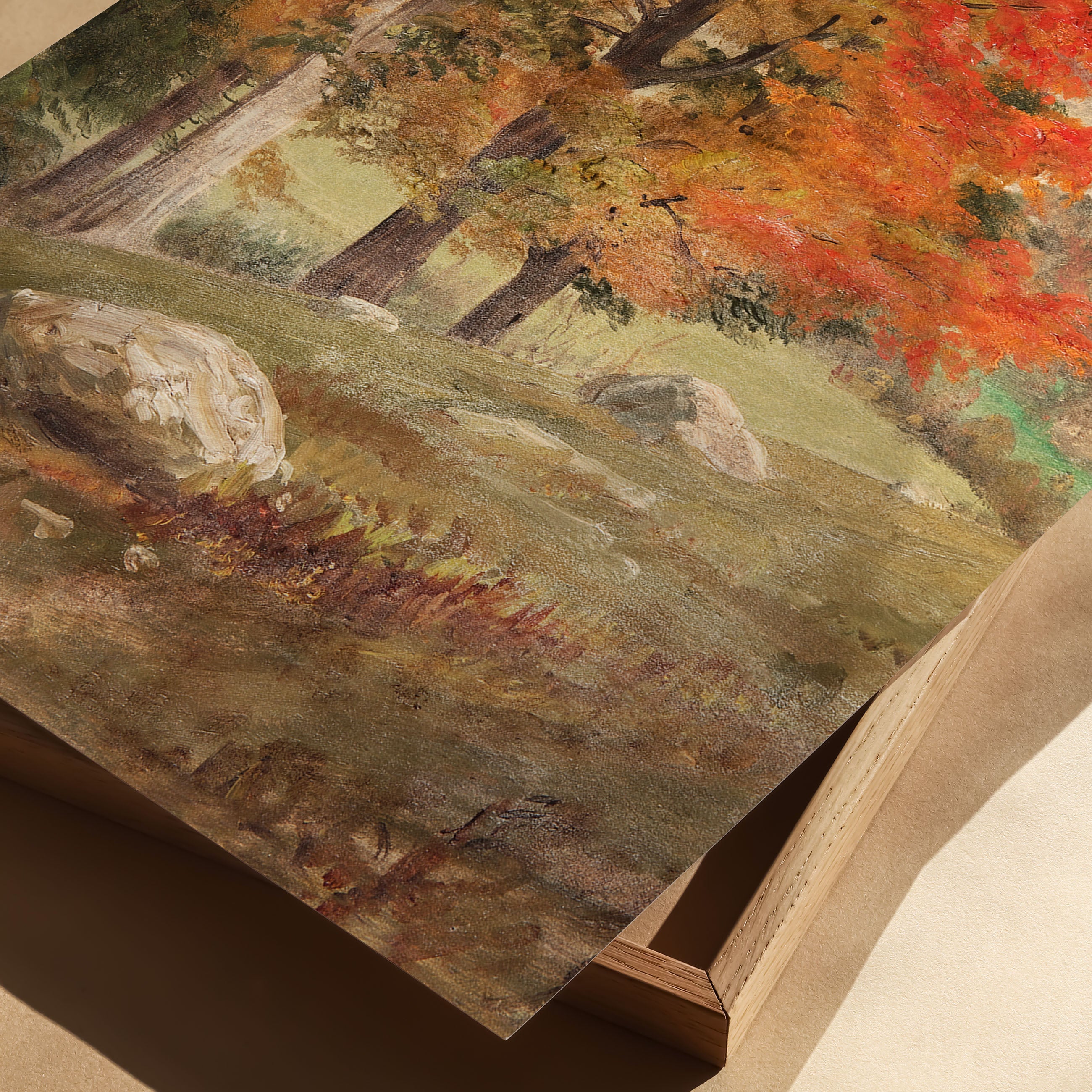 woods in autumn