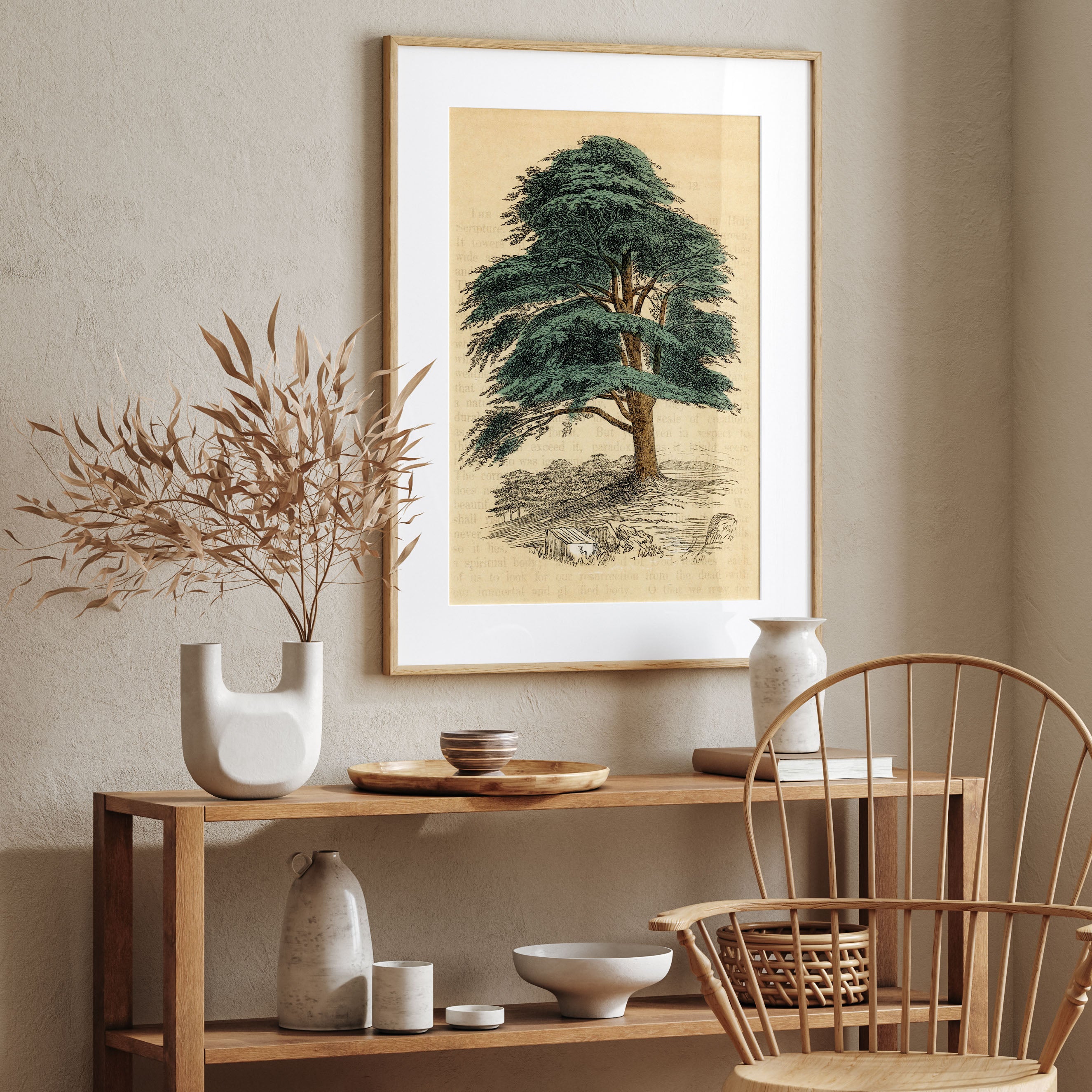 the cedar tree