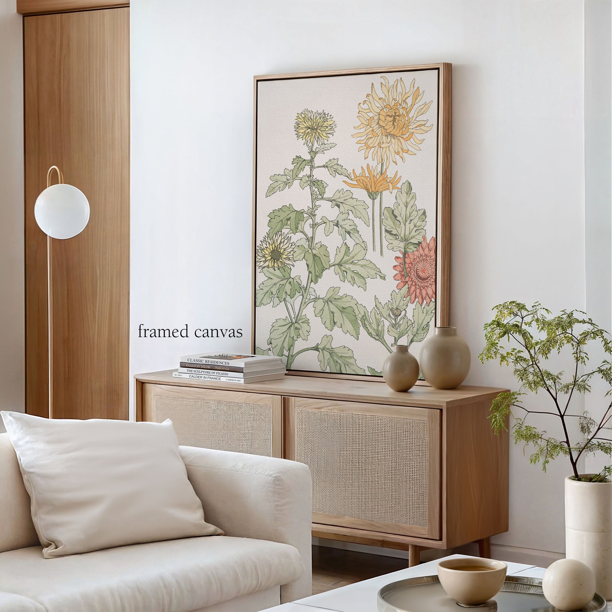 chrysanthème