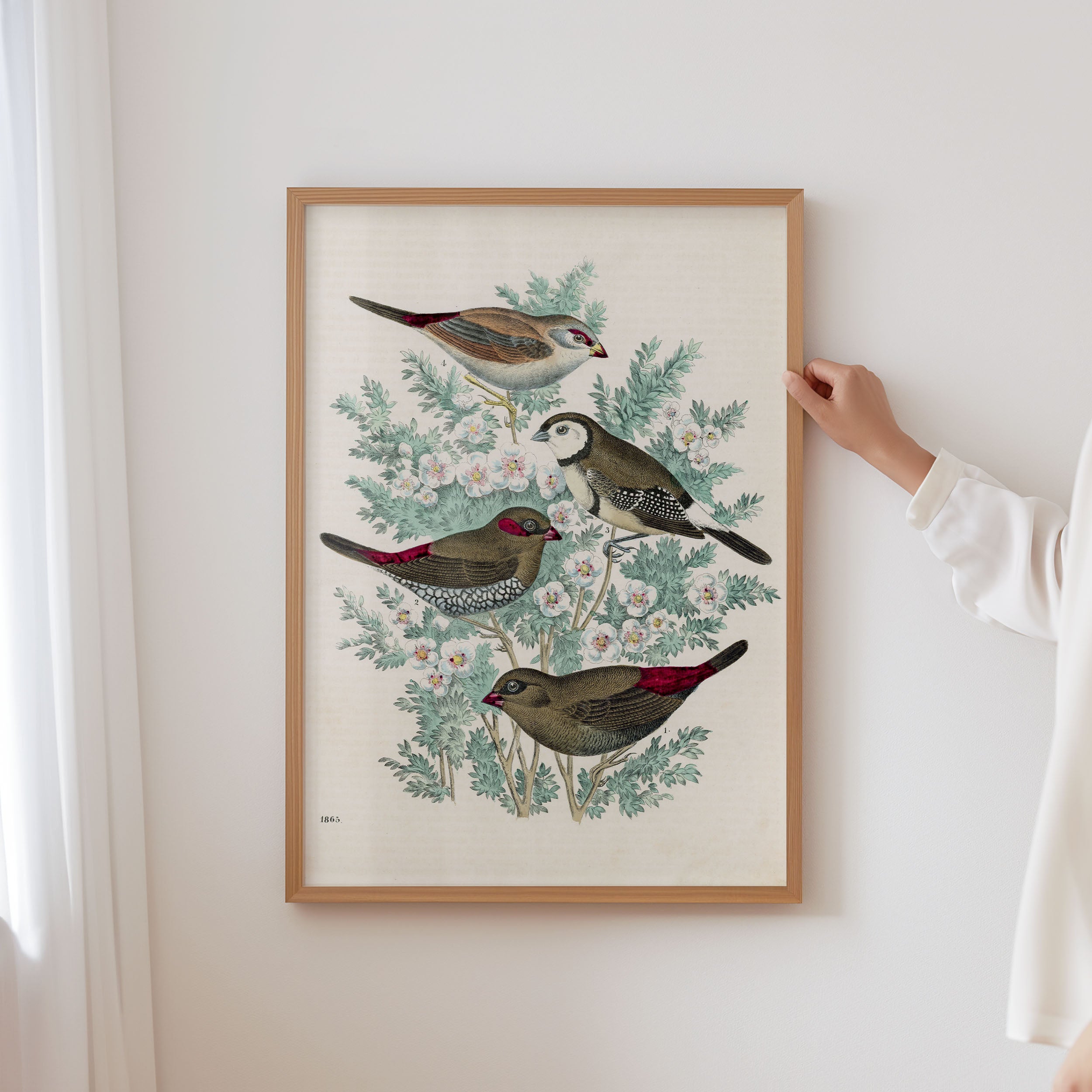 feathered friends