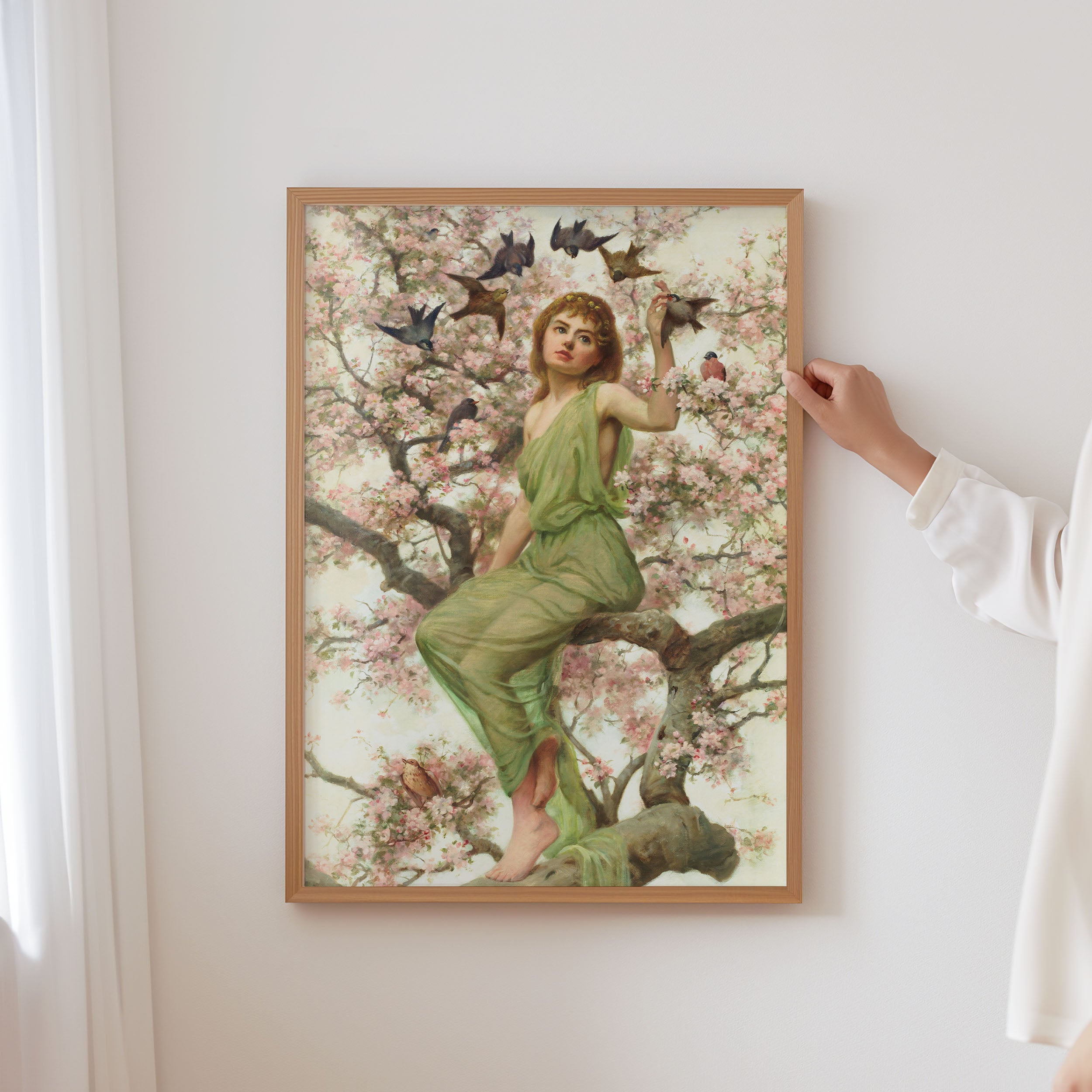 birds of spring