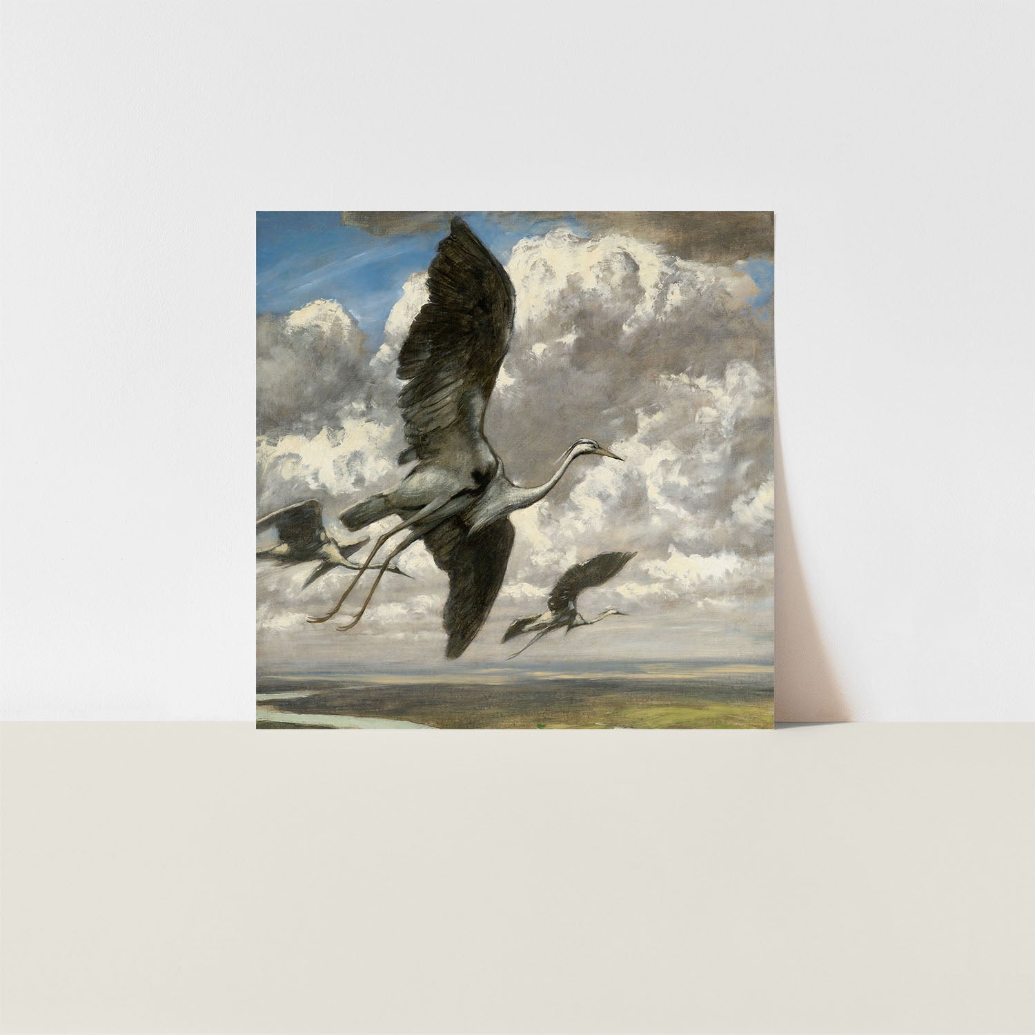 wondrous birds