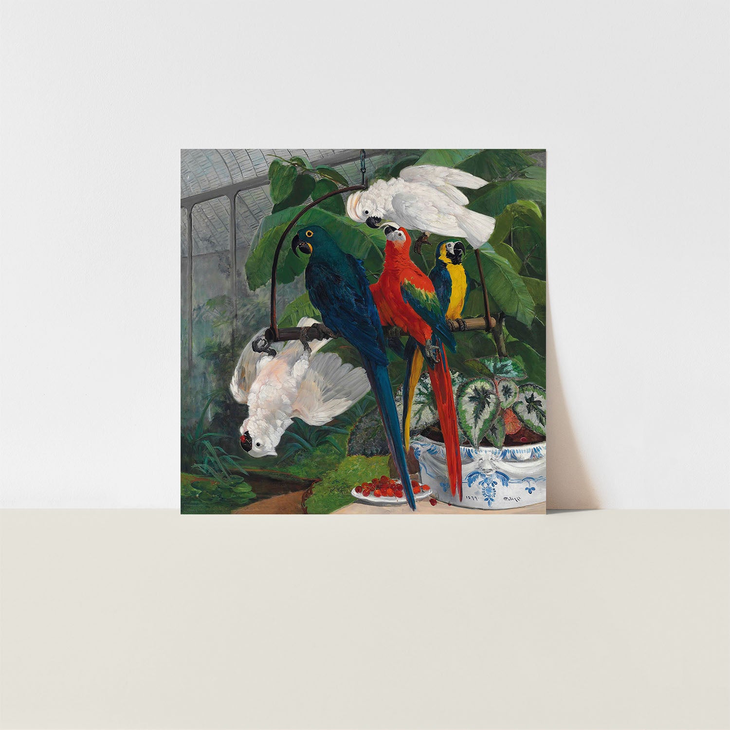 parrots