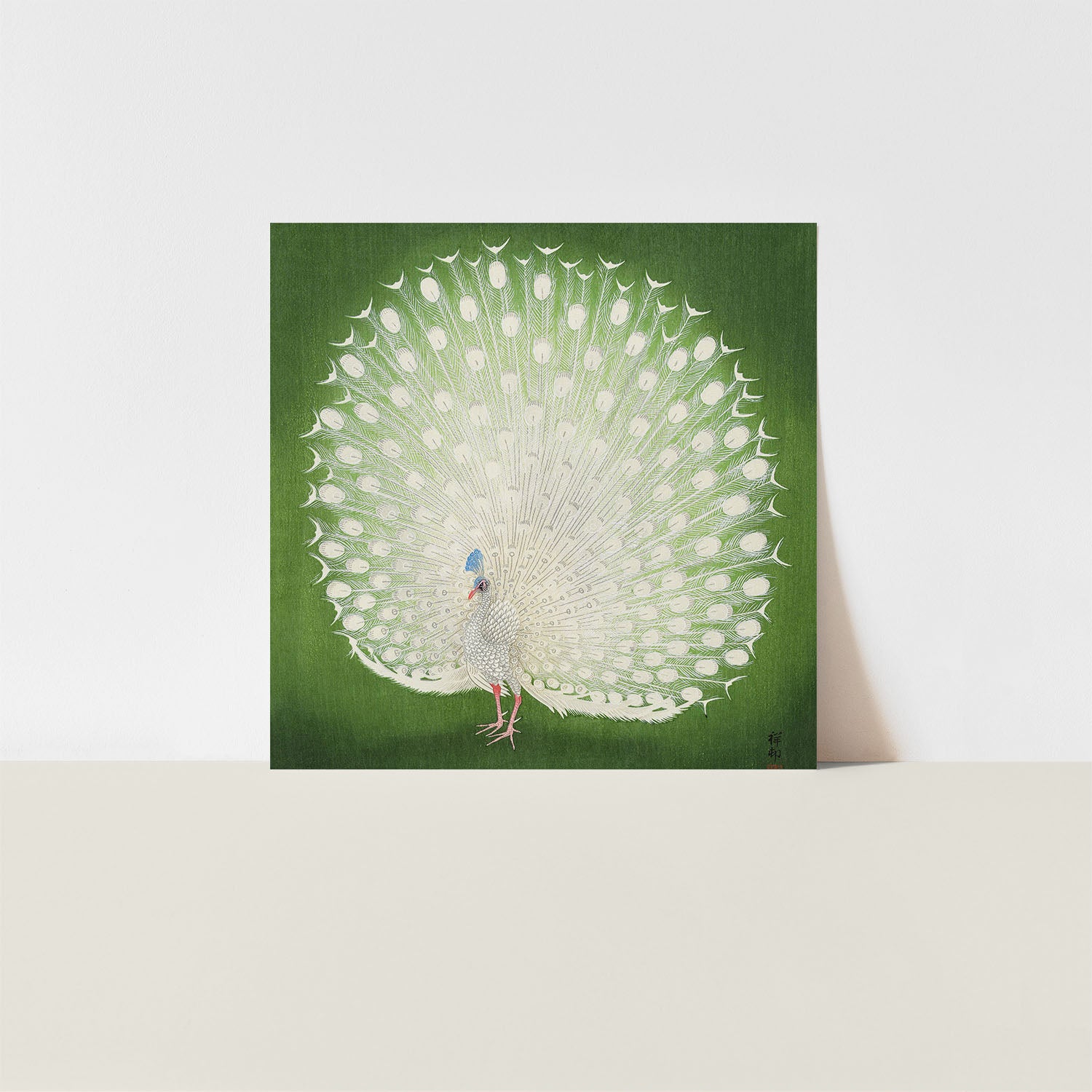 peacock
