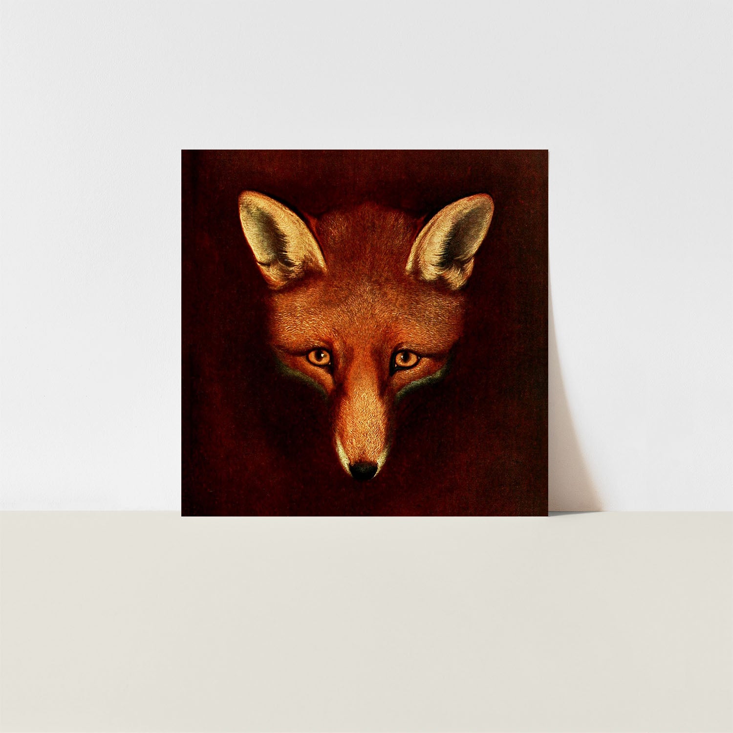 sporting fox