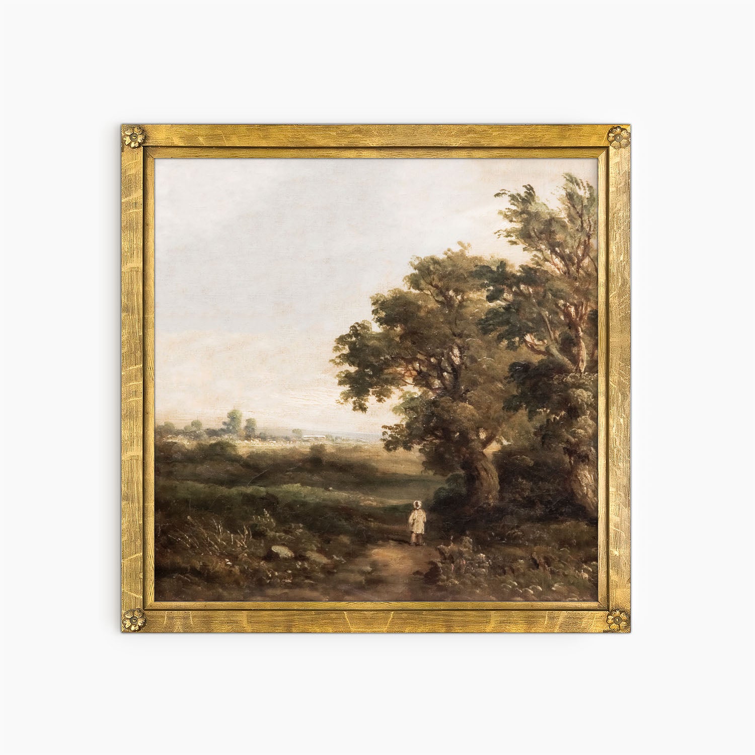 landscape with boy