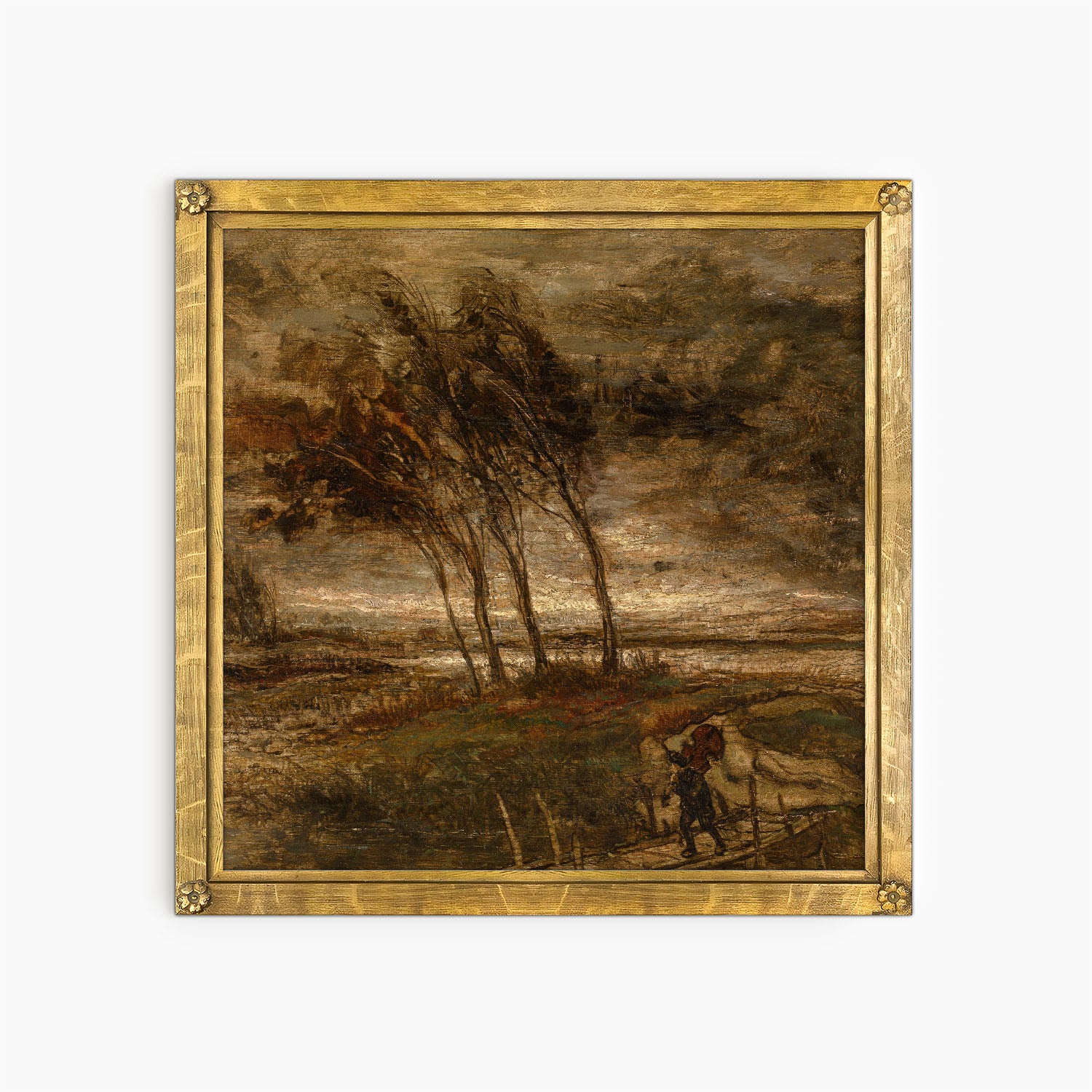 storm landscape
