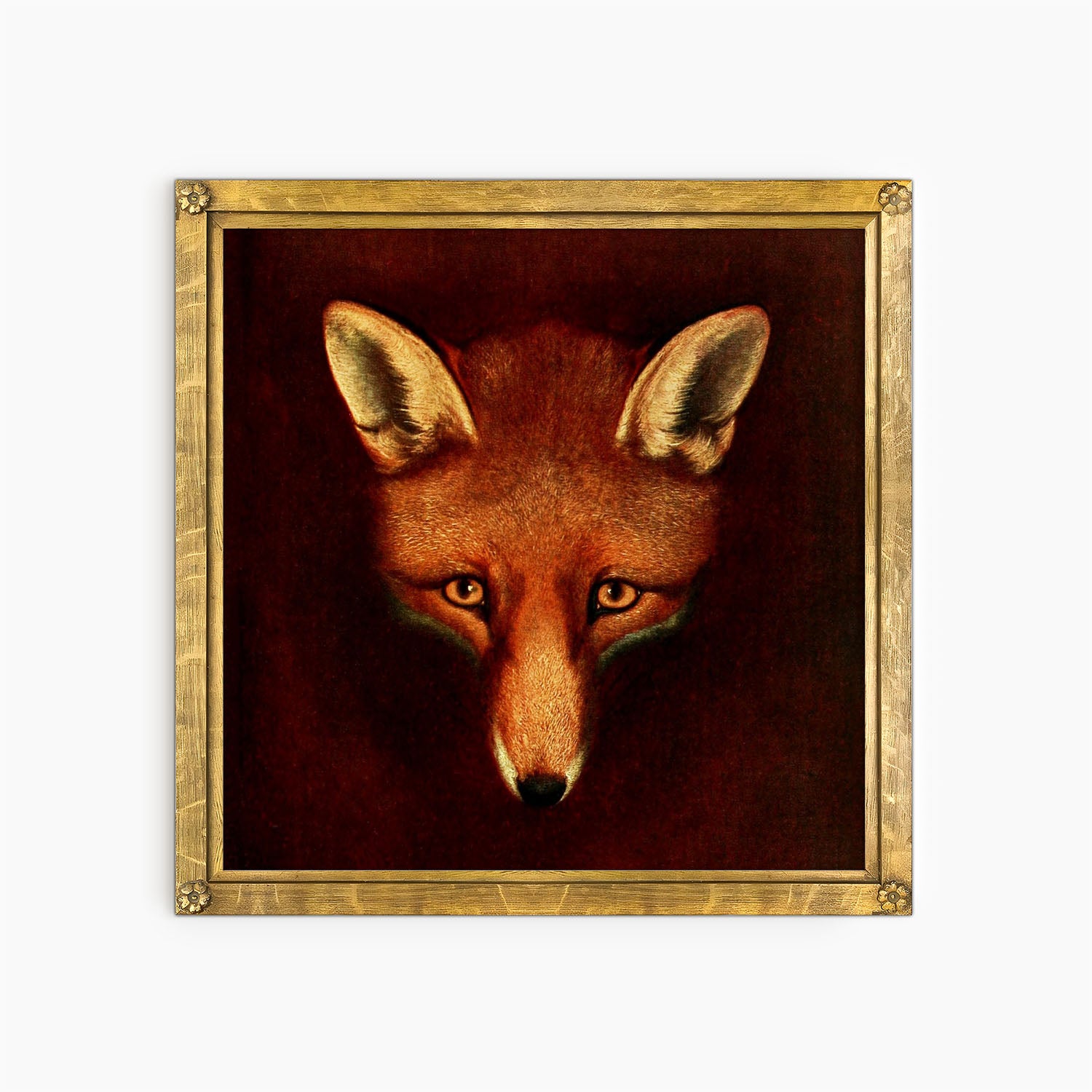 sporting fox